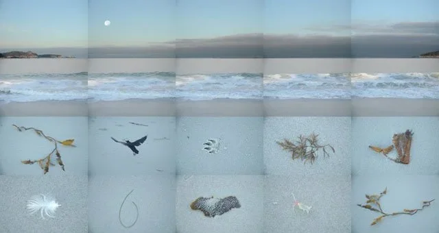 Beach-at-Carmel-.webp