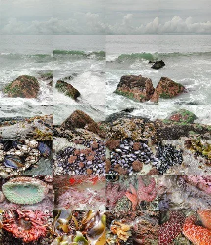 Bigsur.webp
