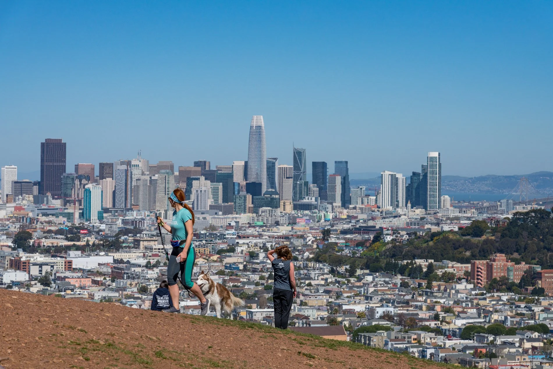 A woman and children with dogs hike up a hill with the San Francisco skyline in the background, including the Salesforce Tower, on a clear day.