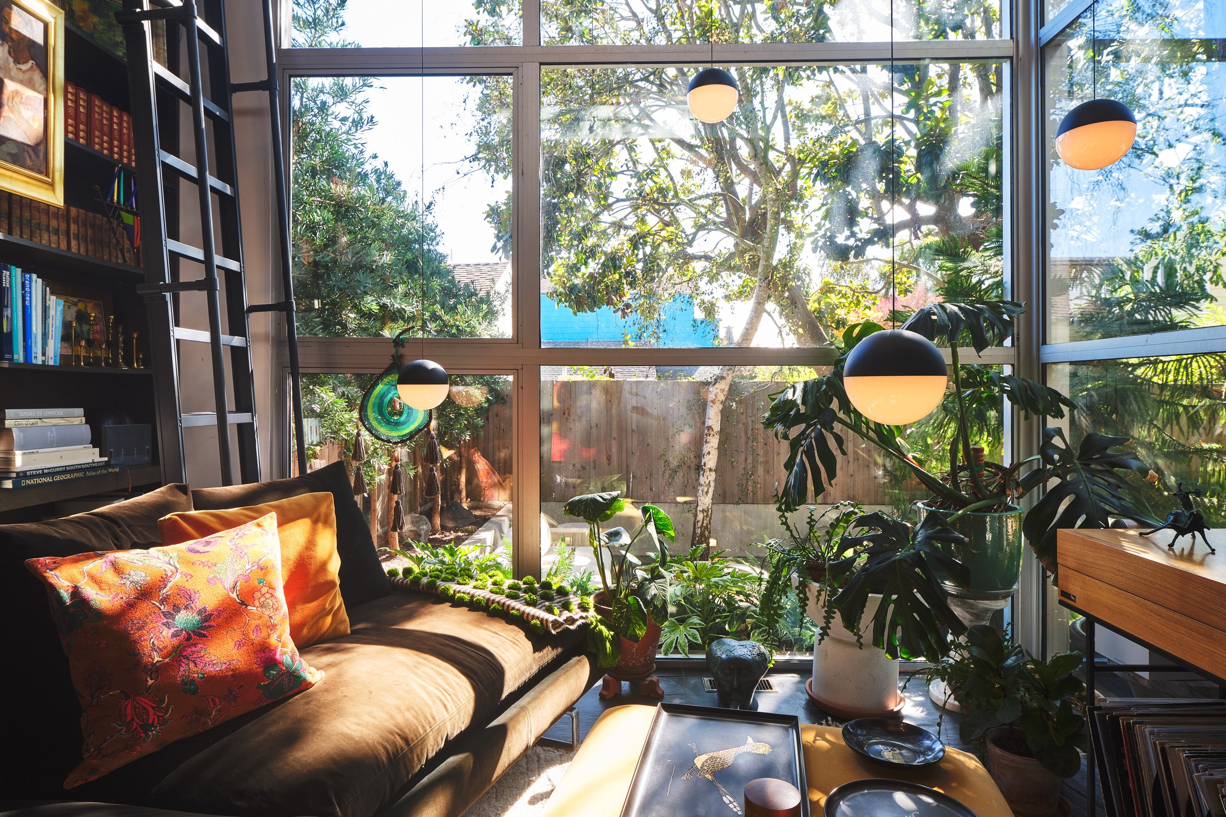 Sunlit indoor living room with large glass windows, filled with green houseplants, a tan sofa with colorful pillows, a black bookshelf, and decorative items.
