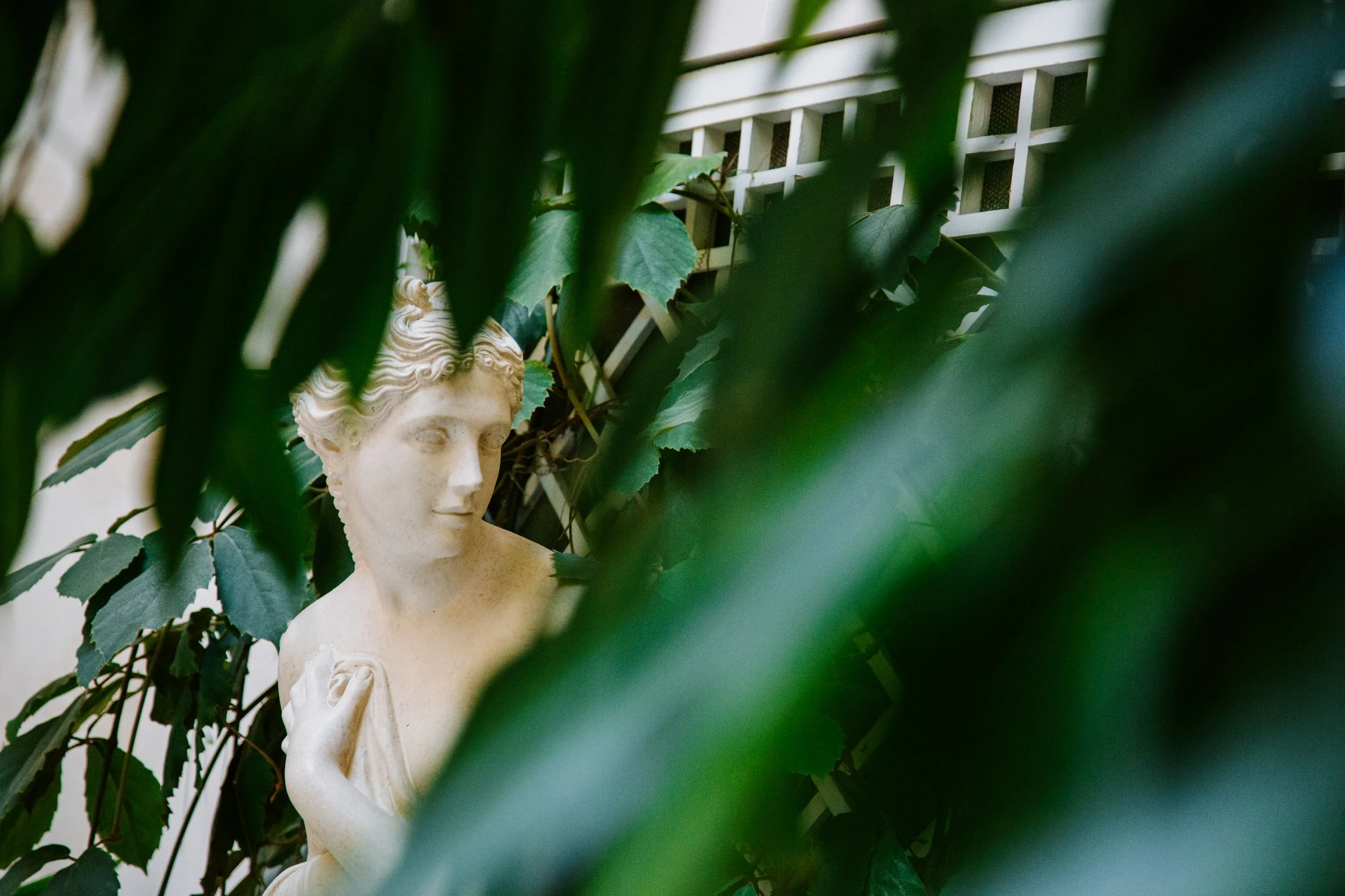A classical bust sculpture of a woman is seen behind green leafy plants and a white lattice fence.