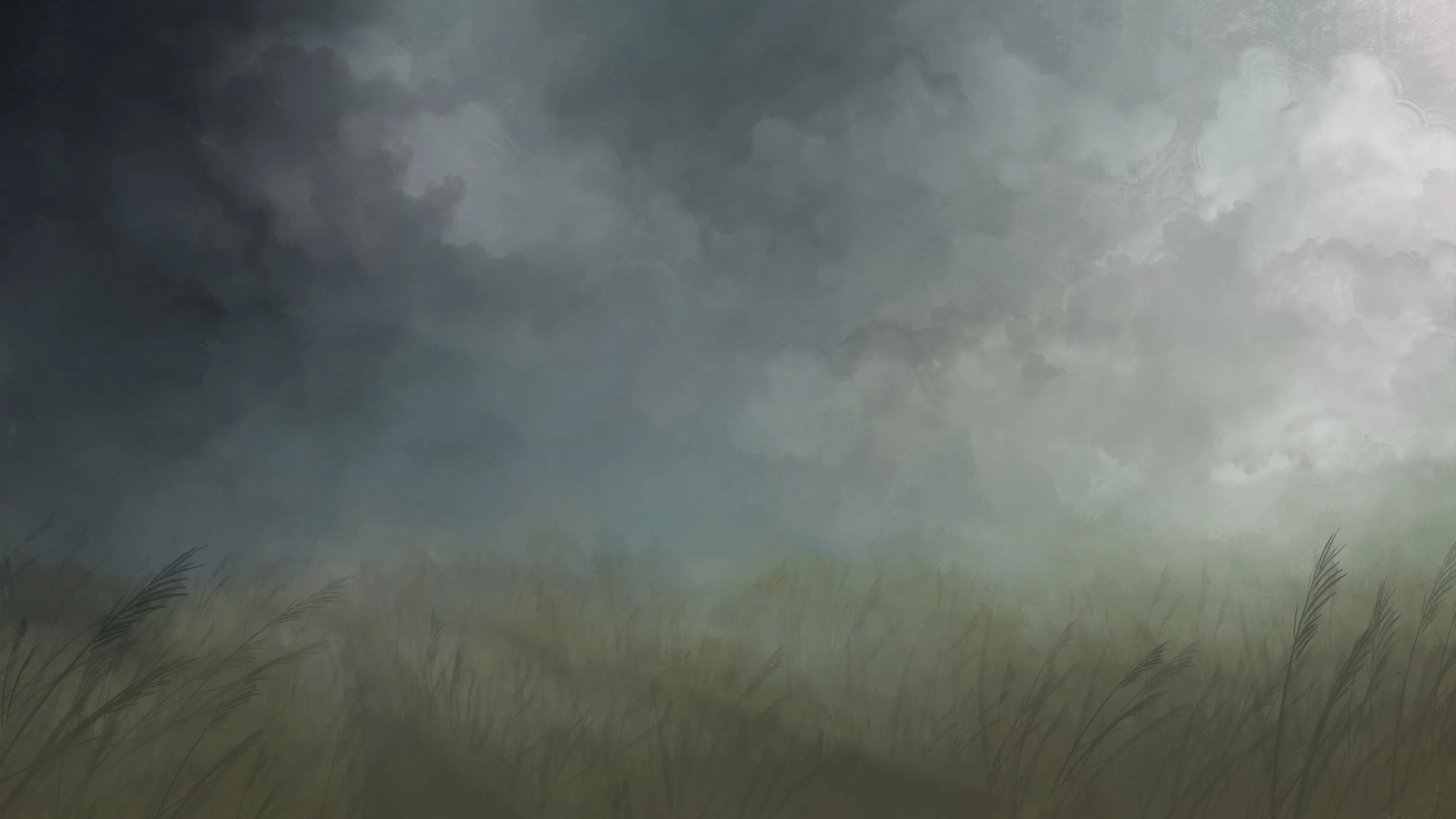 Dark storm clouds gathering in the sky over a grassy field with some tall grass in the foreground.
