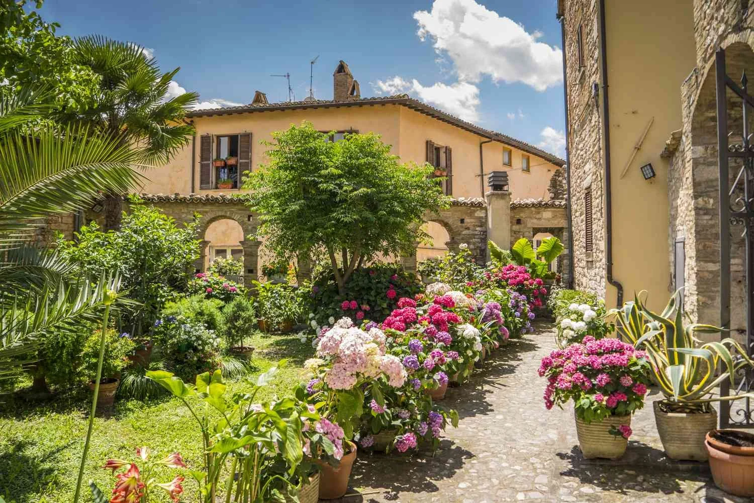 Program: Introduction to Italian Gardens
