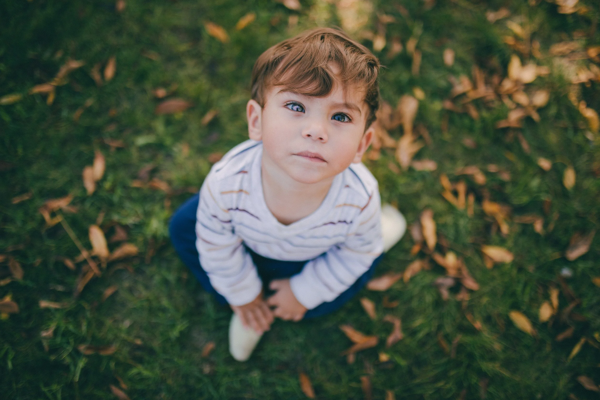 A young boy with brown hair and blue eyes looking up at the camera from a grassy area with fallen leaves.