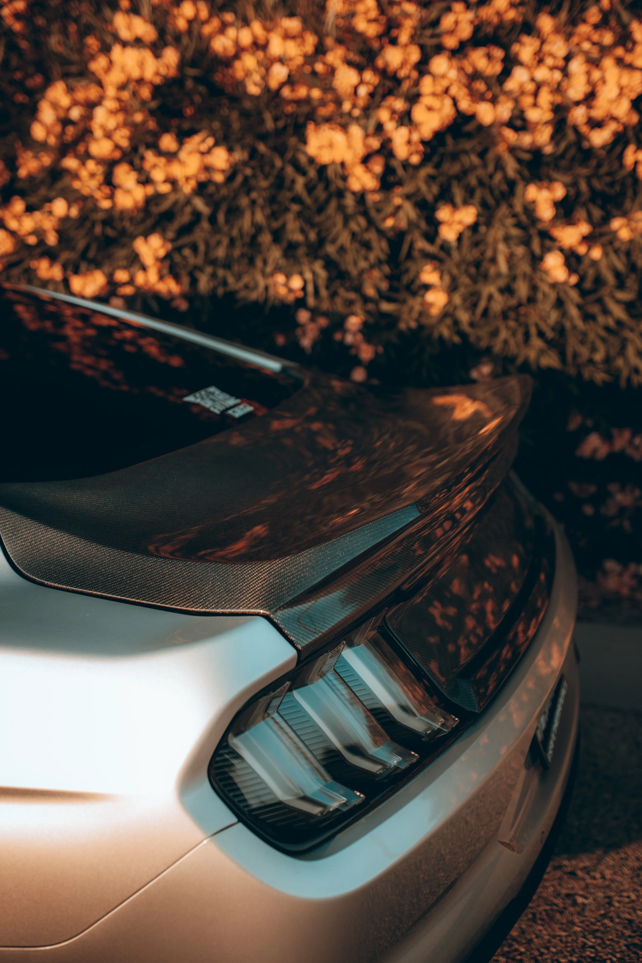 Close-up of a modern car's front end showing the headlight, part of the bumper, and a black hood with a textured finish, set against a background of blurred orange flowers.