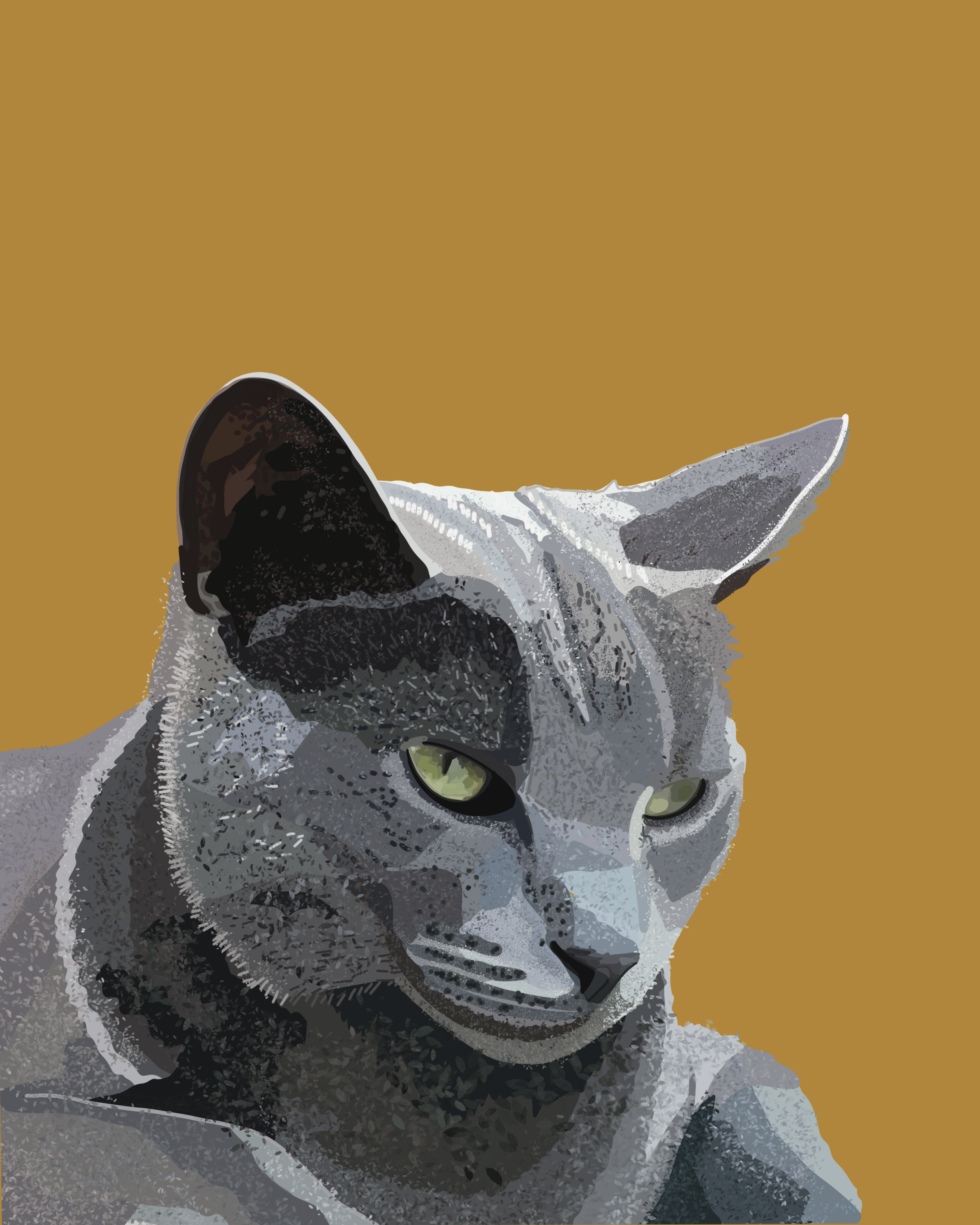 Untitled_Artwork 19.png