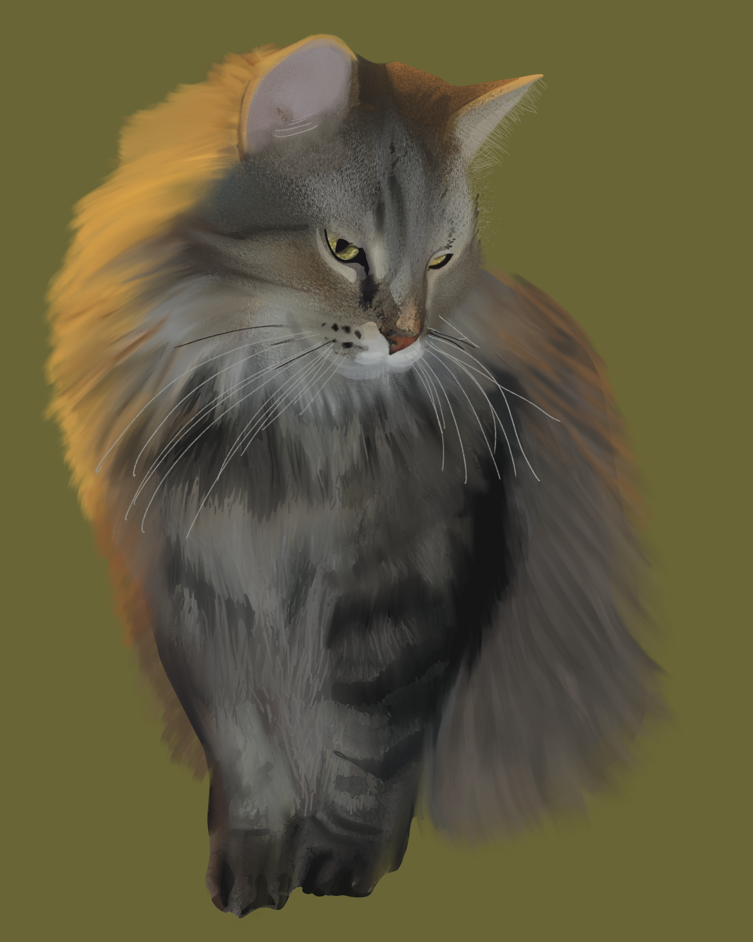 Sassy.png