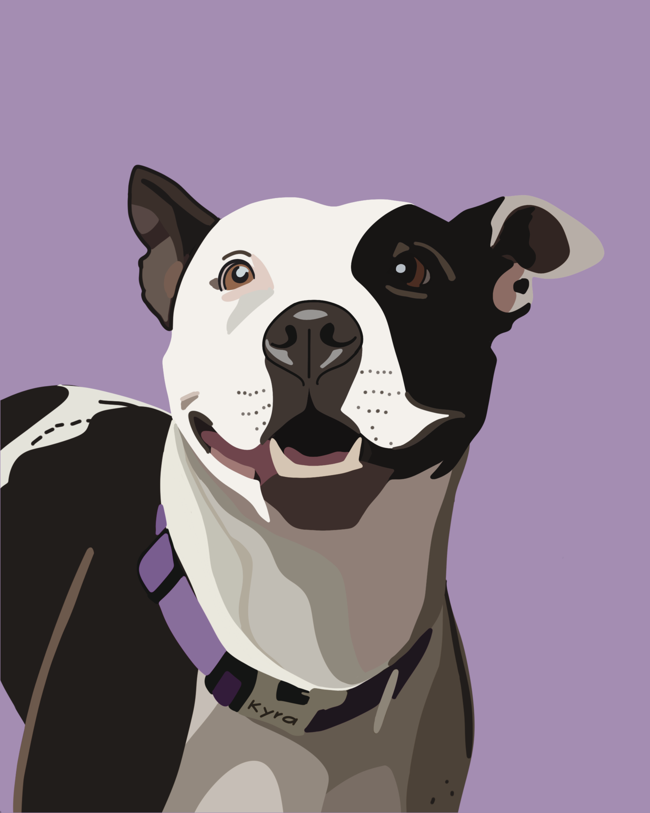 Pet Portraits