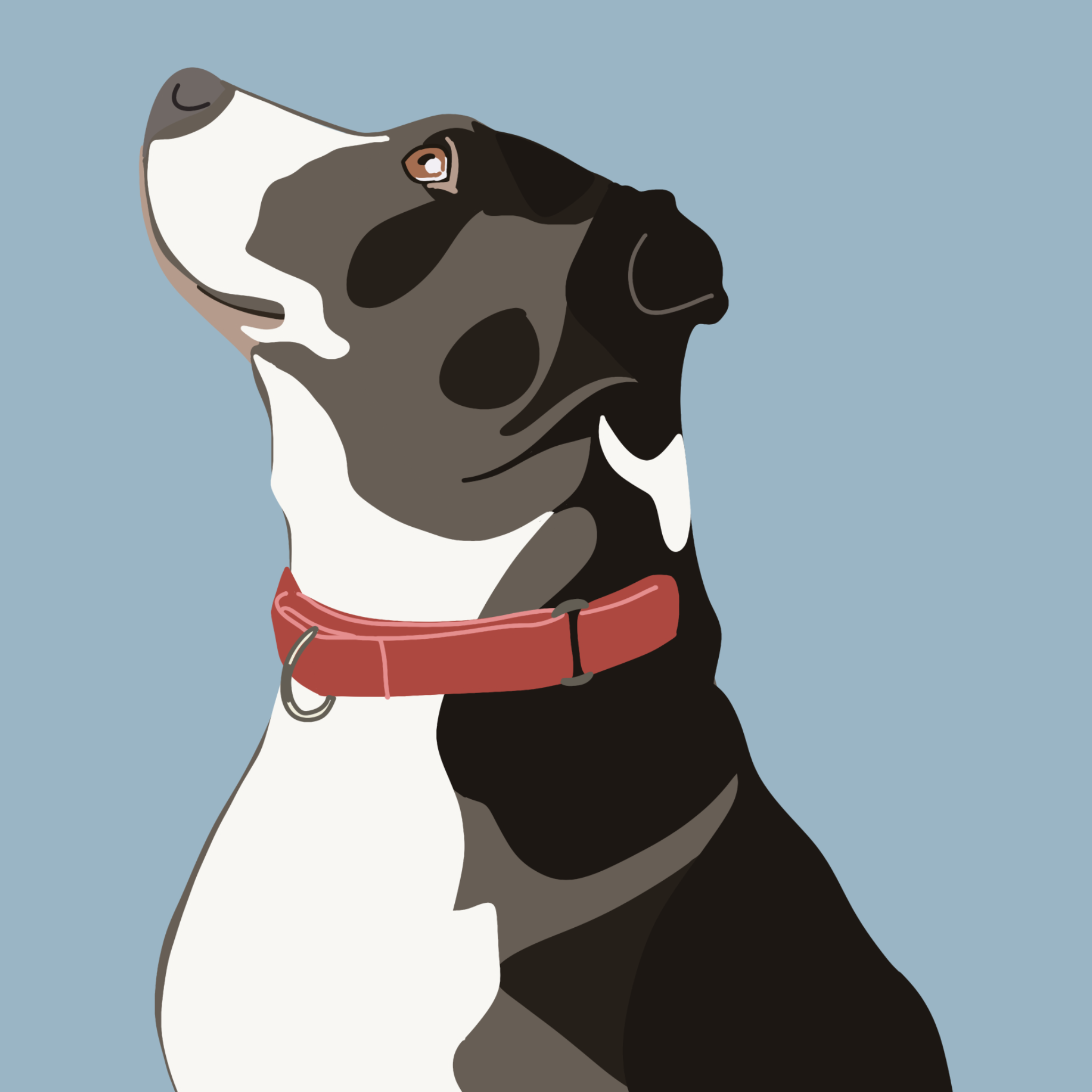 Rottie.png