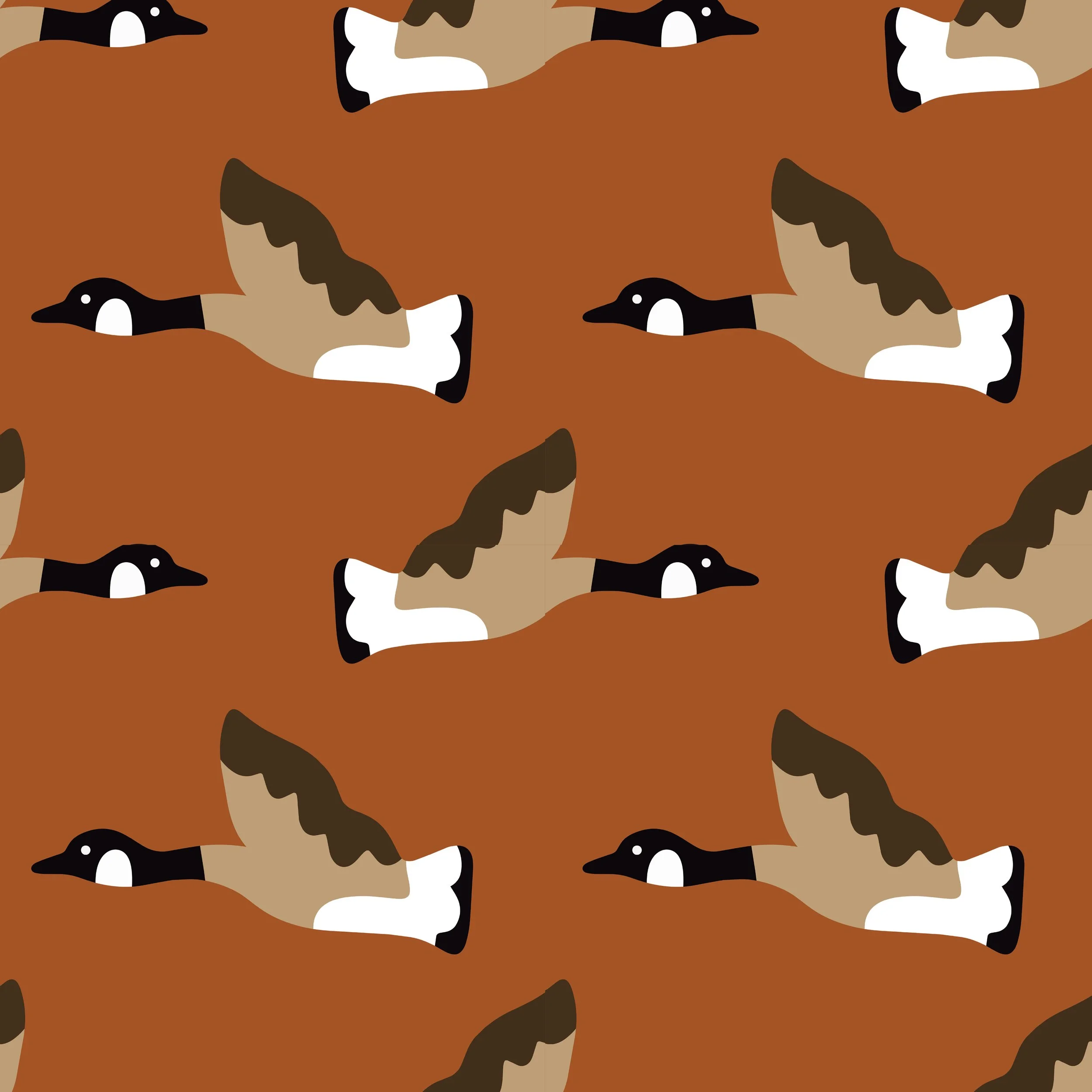 Flying Into Fall Pattern