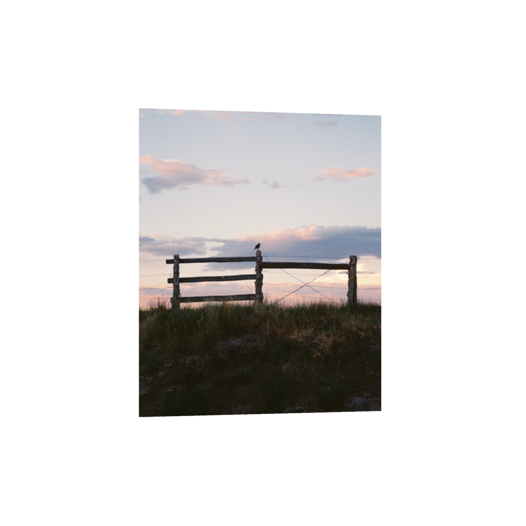 Print 03