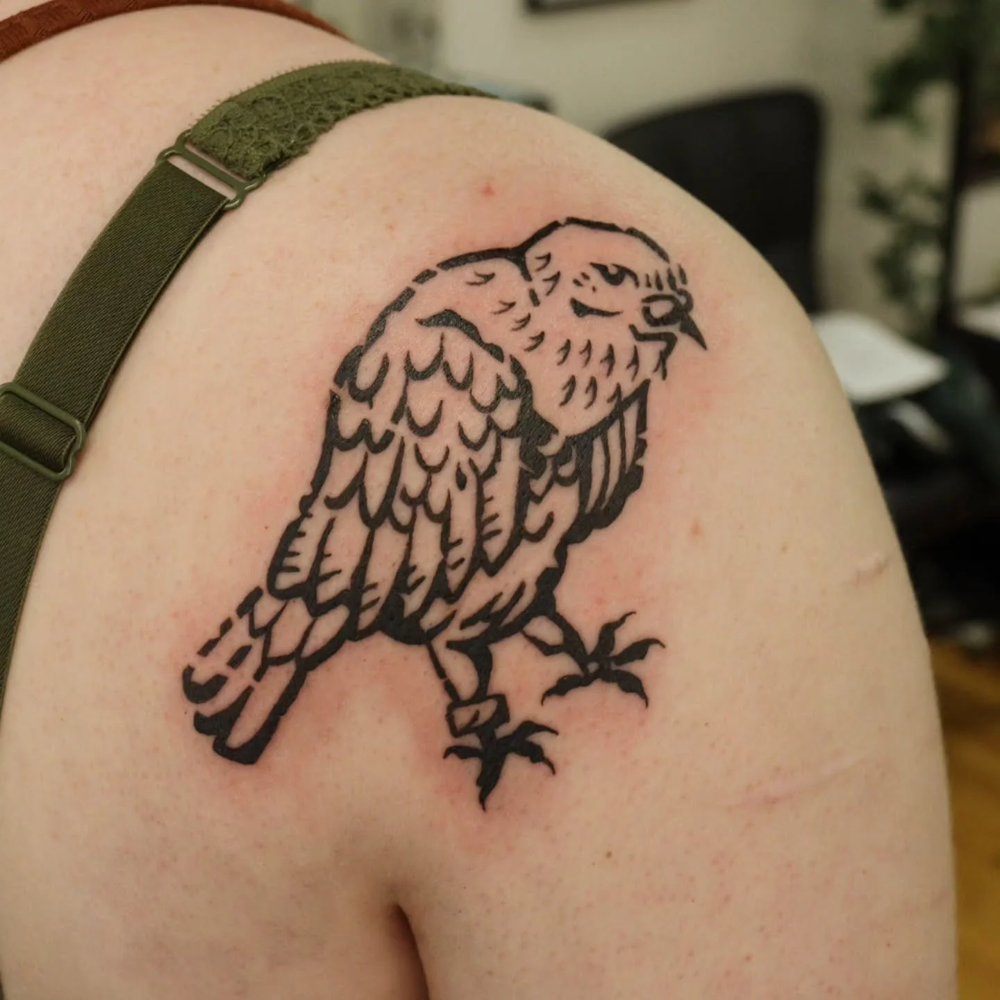Three birds I've done this week 🐦 swipe to see!
#tattoo #woodcuttattoo #durhamtattoo #raleightattoo #nctattooers