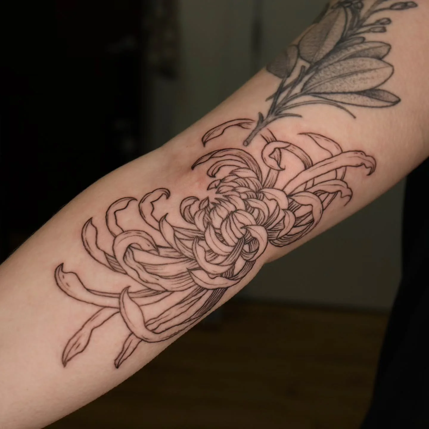 Chyrsanthemum on the inner elbow for my love 🖤 
#engravingtattoo #durhamtattoo #raleightattoo #nctattooers #engraverstattoos
