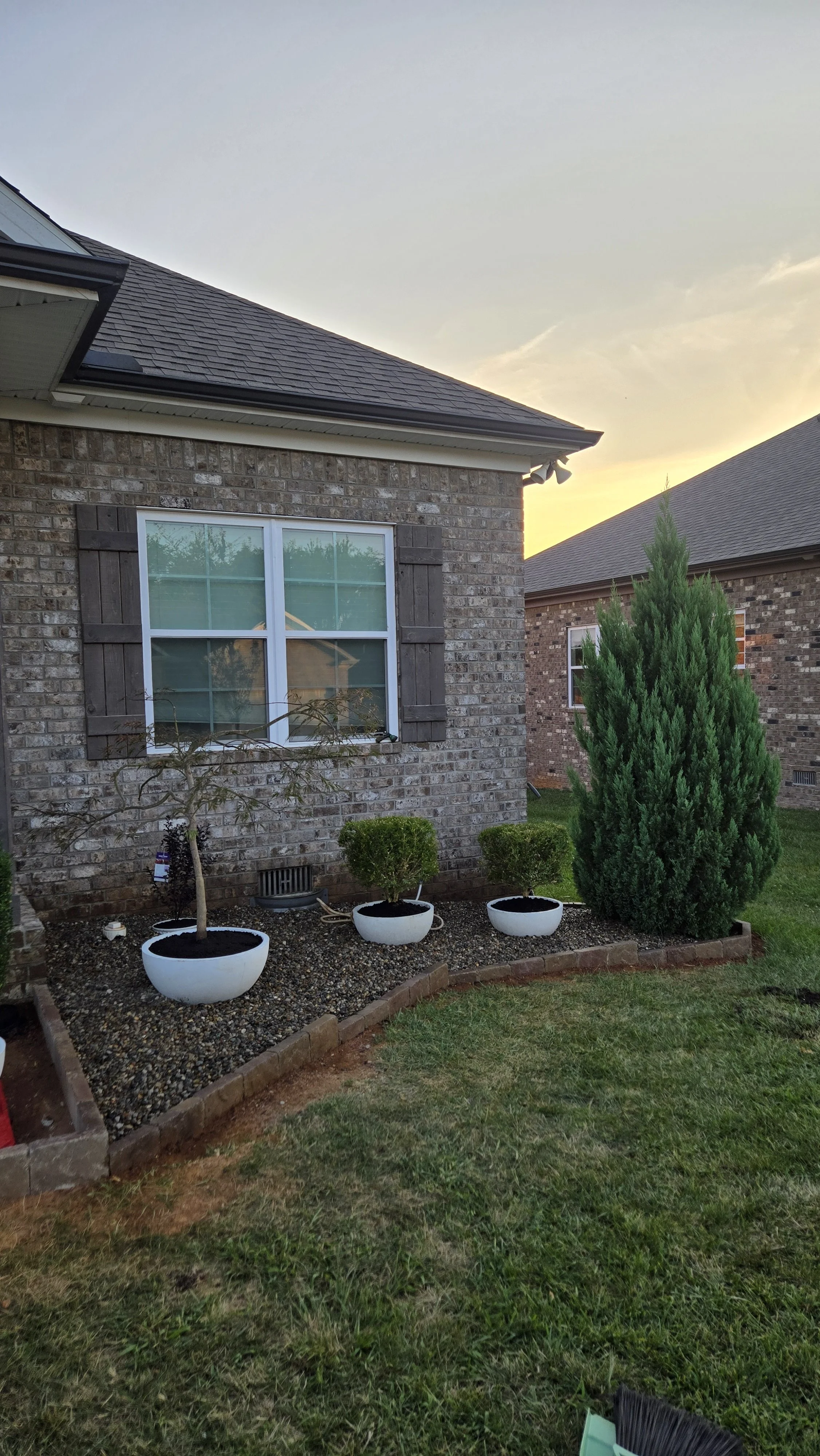 A backyard garden with potted plants, including a small leafless tree in a large white pot, two trimmed bushes in smaller white pots, and a tall evergreen tree. The garden is adjacent to a brick house with a window and wooden shutters, and another brick house is visible in the background. The sky is partly cloudy with the sun setting.