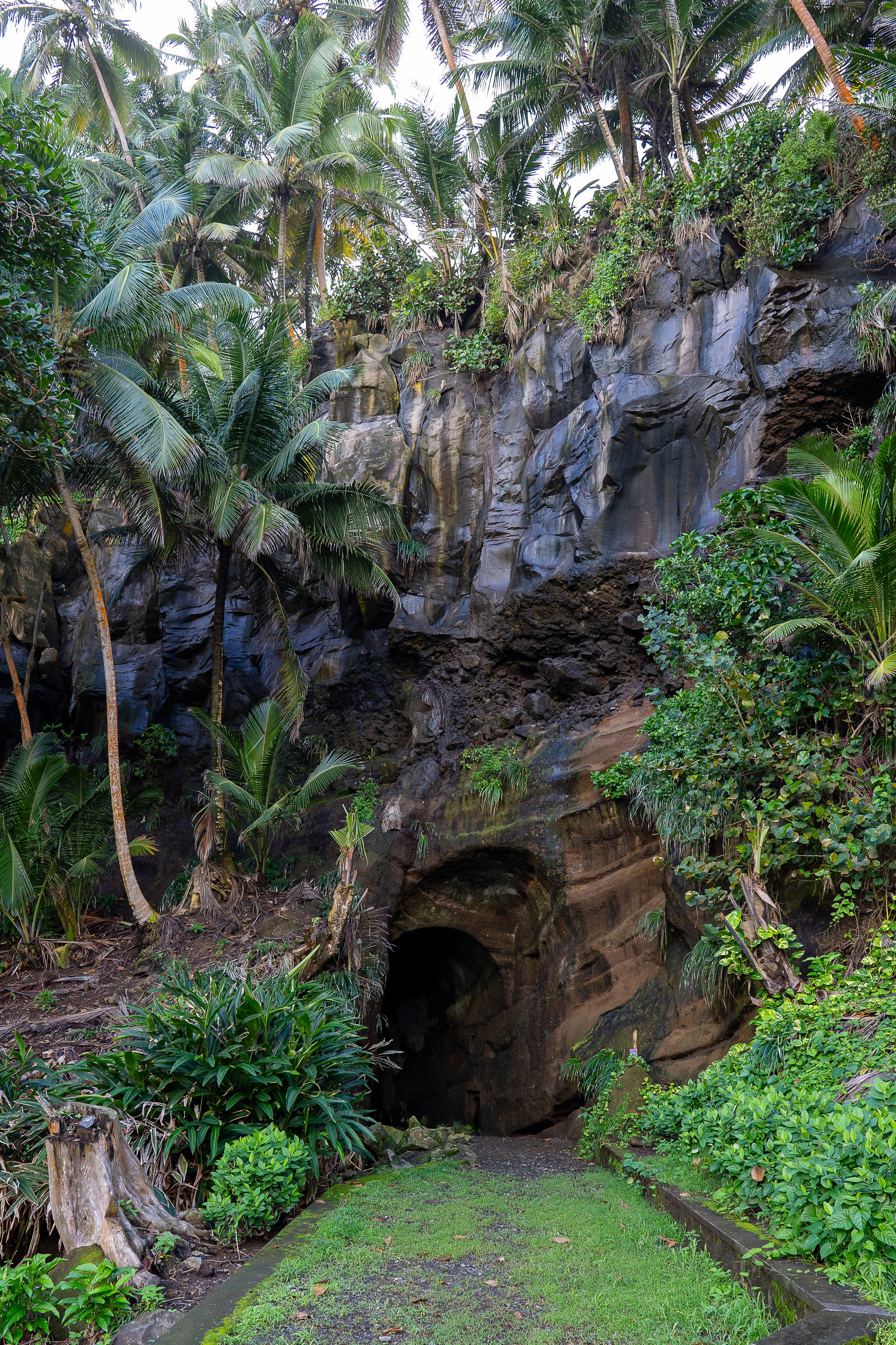 A lush, tropical garden featuring dense green foliage, palm trees, and a dark cave entrance in the rocky cliffside surrounded by plants and a small grassy pathway.
