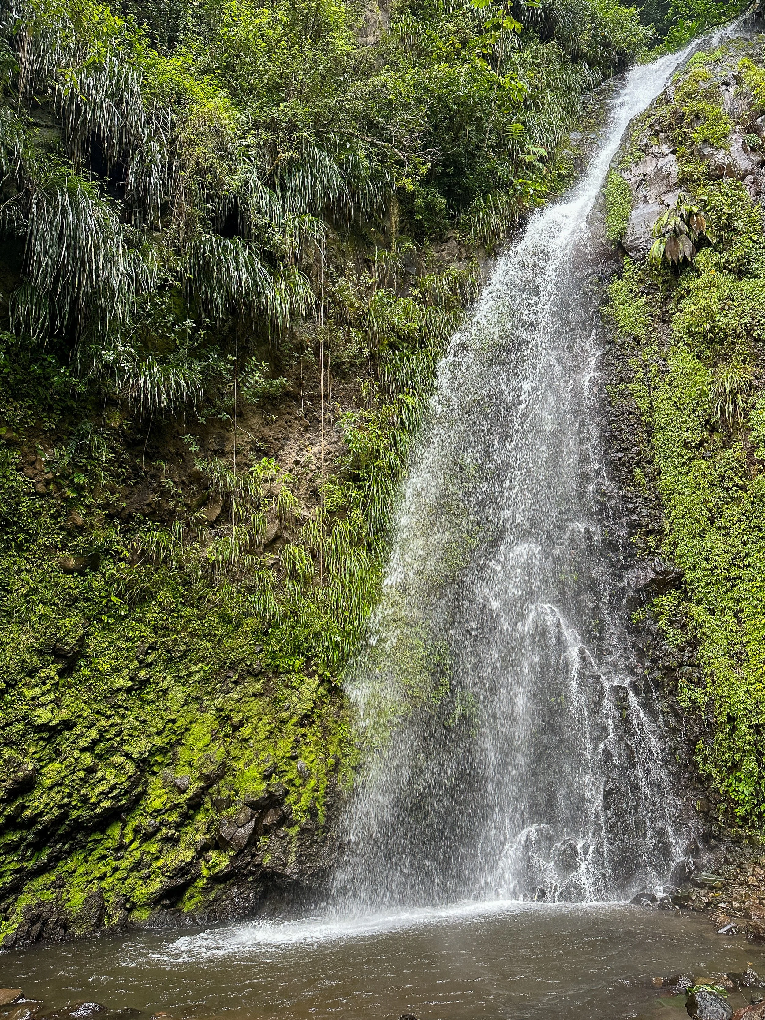 Dark-View Falls-St-Vincent