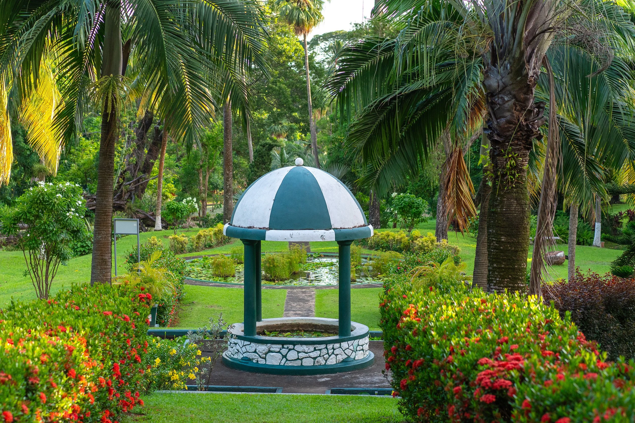 Tropical garden scene with lush green palm trees and flowering plants, featuring a small water pond and a white and green park bench with a stone base. This is located in St. Vincent and the Grenadines Botanical Gardens
