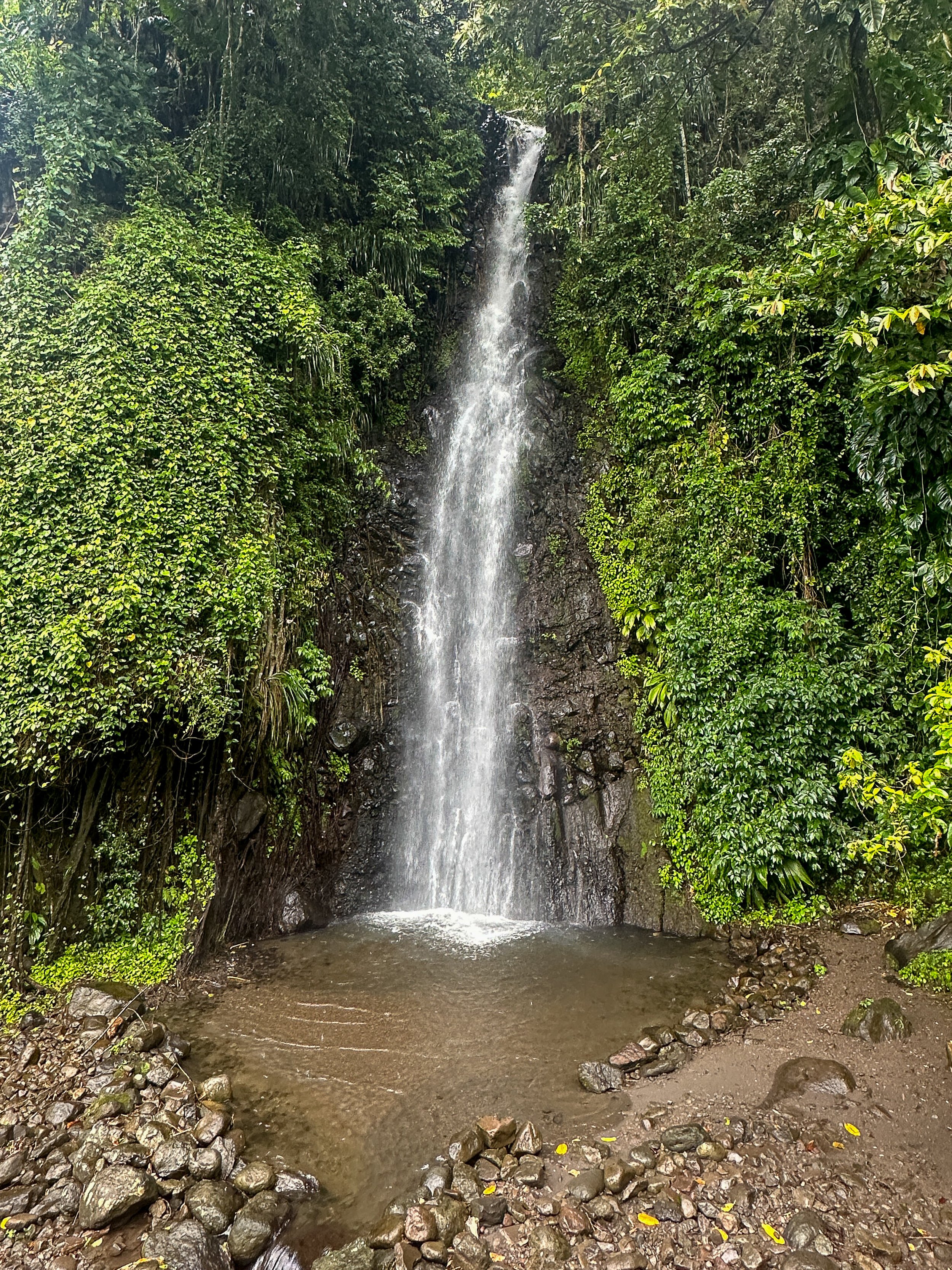 A waterfall flowing down a rocky cliff surrounded by lush green foliage, with a small pool at the bottom. This  is located at Dark View Falls St Vincent
