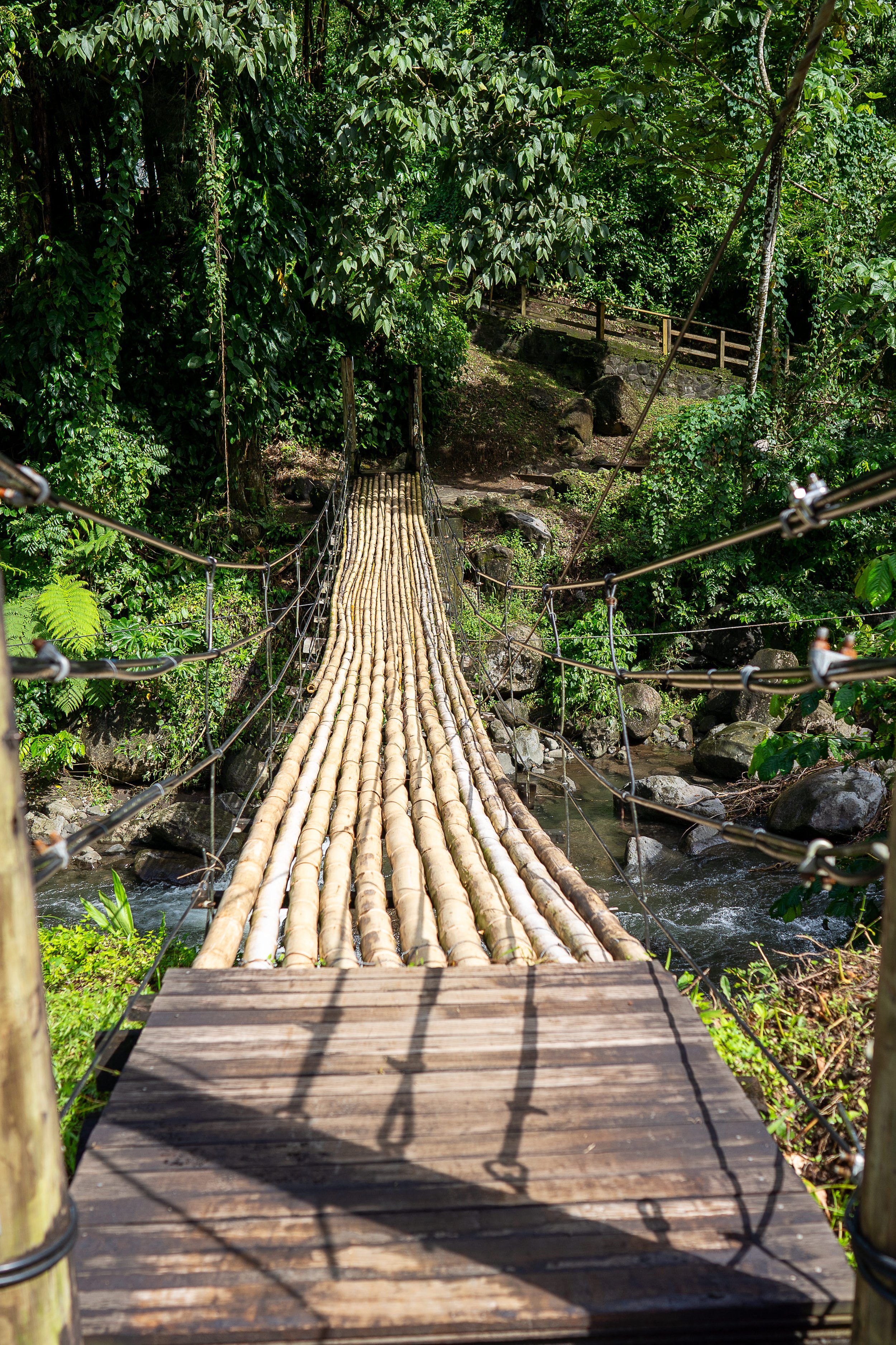 A narrow wooden suspension bridge spanning over a small creek surrounded by lush green foliage and trees in a rainforest setting. This bridge is located at Dark View Falls St Vincent