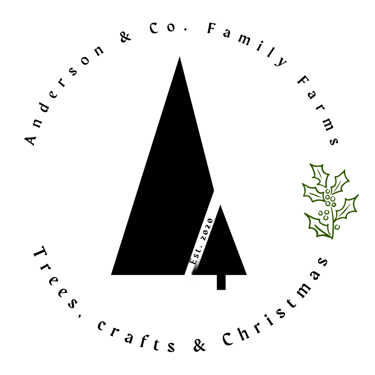Anderson &amp; Co 