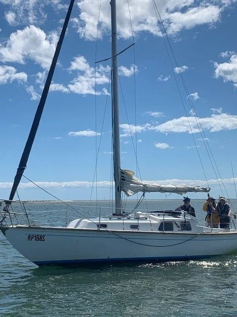 sailpast4.jpeg