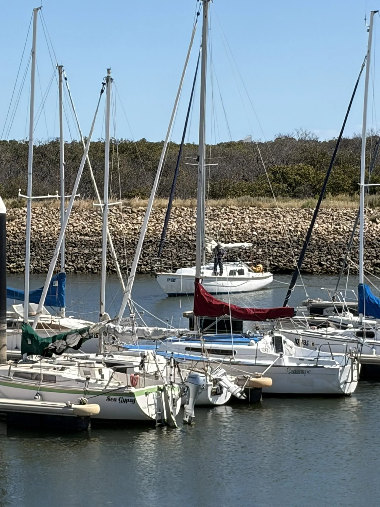 IMG_1203.JPEG