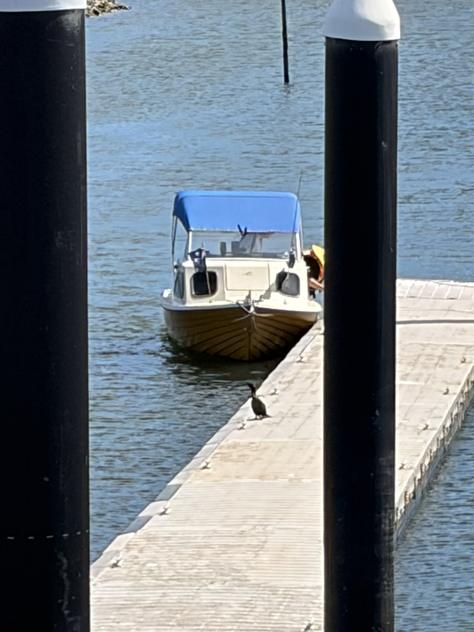 IMG_1199.JPEG