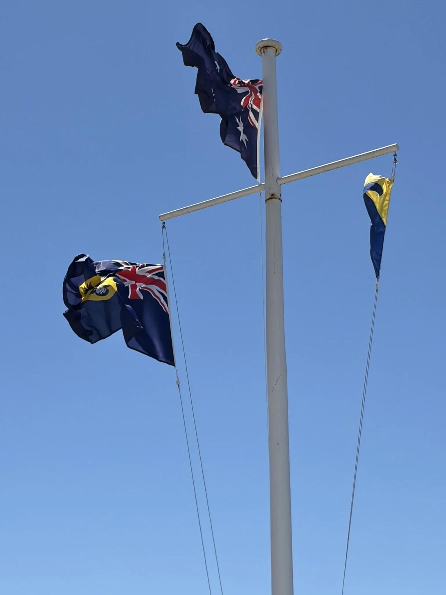 A brisk north easterly heralded the commencement of festivities