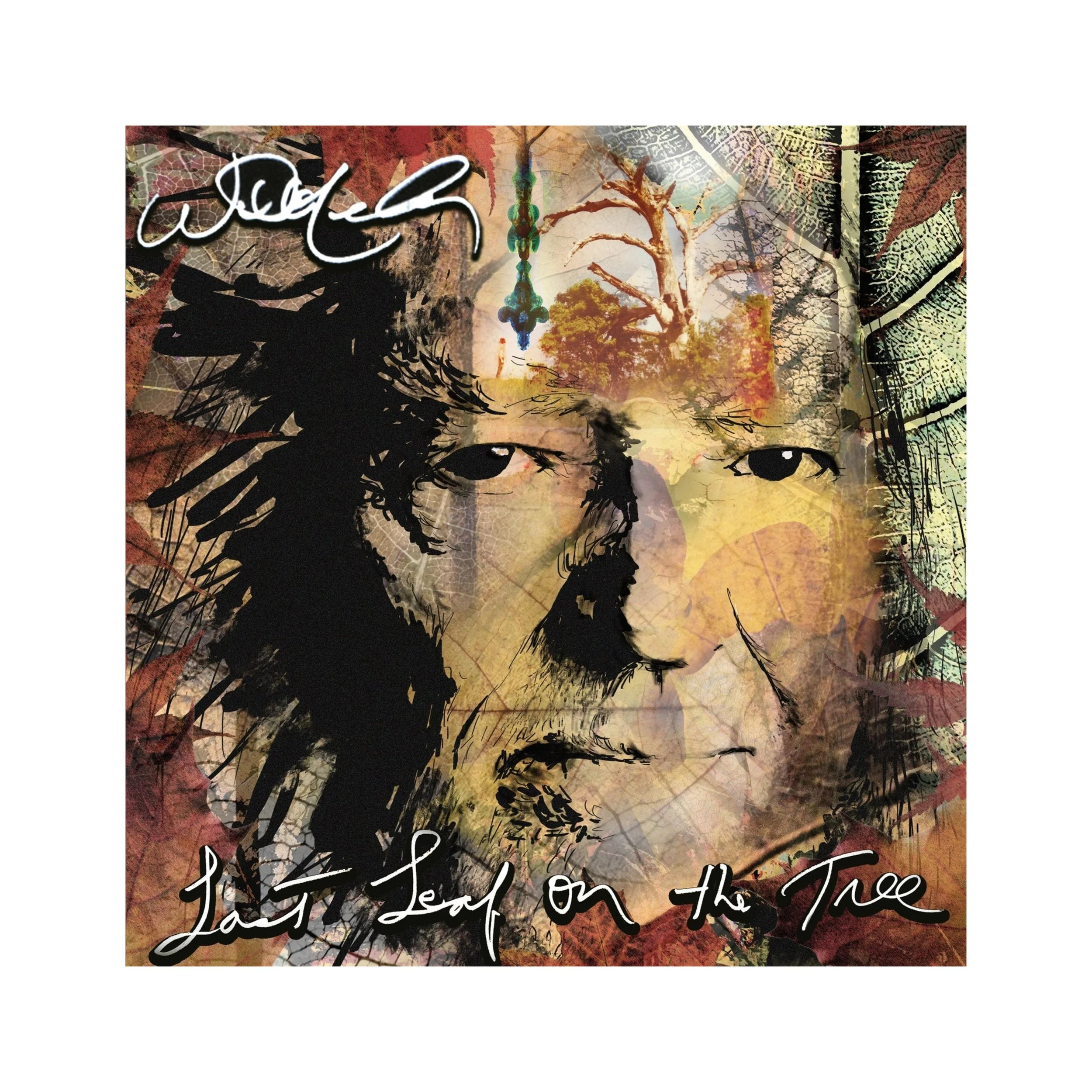 Willie Nelson - Last Leaf on the Tree CD