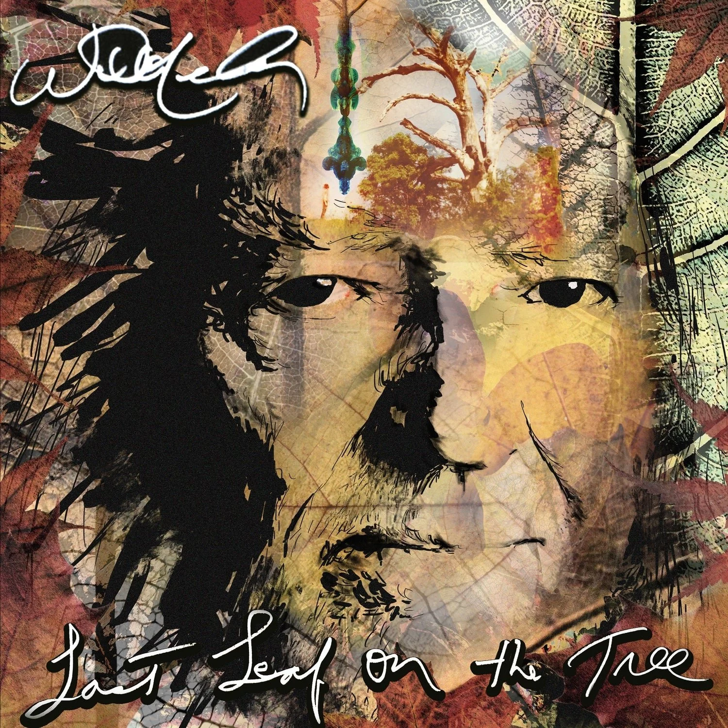 WillieNelson_LastLeafOnTheTree_1500x1500_198028368926_cover.jpg