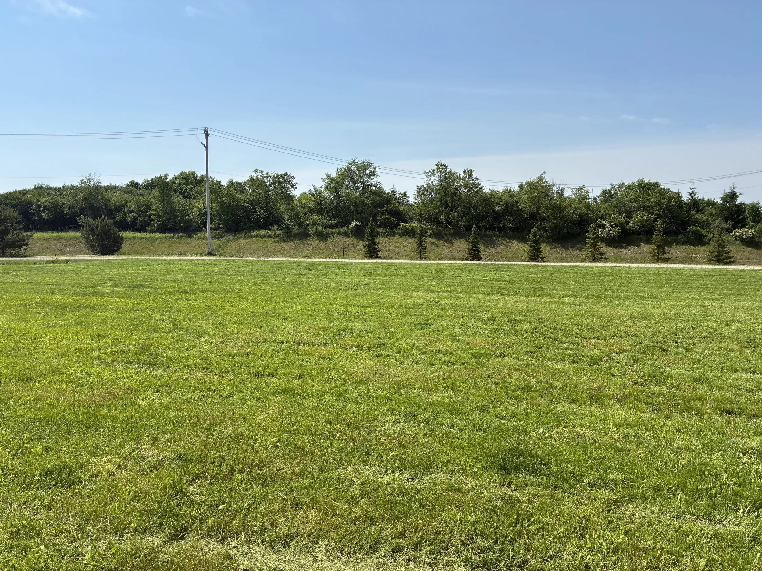 A grassy field with a row of small trees, a hillside with dense green trees, and a utility pole with power lines against a clear blue sky.
