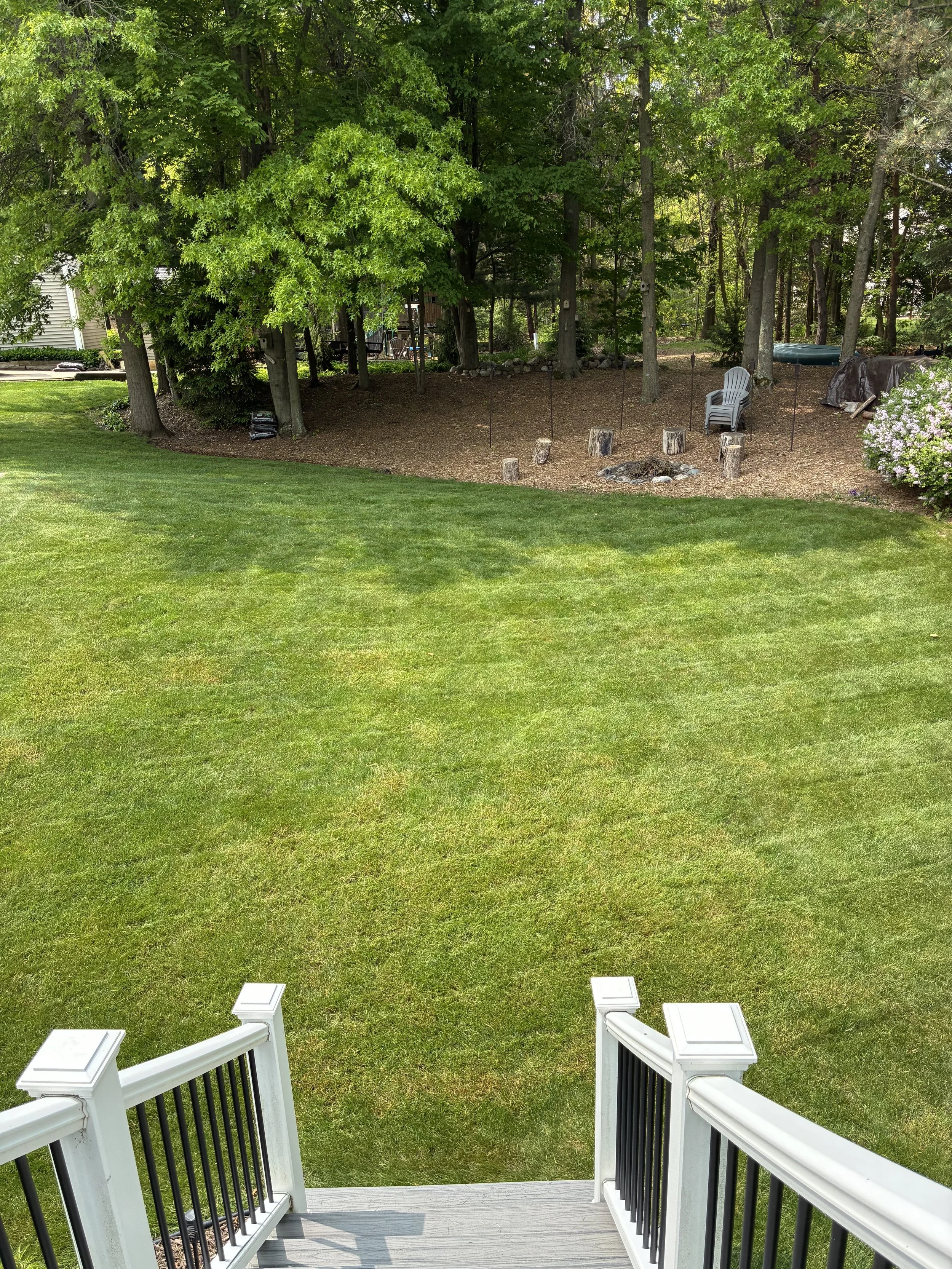 Backyard view from a deck with white stairs looking onto a grassy lawn and a wooded area with trees and bushes.