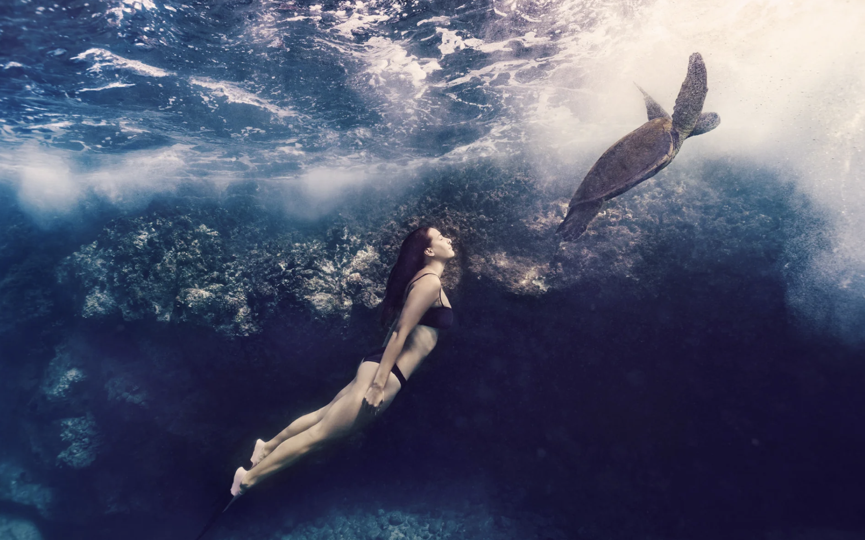 Emergence explores the profound connection between humanity and the living world. Inspired by the sea turtle—a symbol of guidance, longevity, and belonging—the photograph invites us to surrender to life's currents with grace, discovering the harmony 