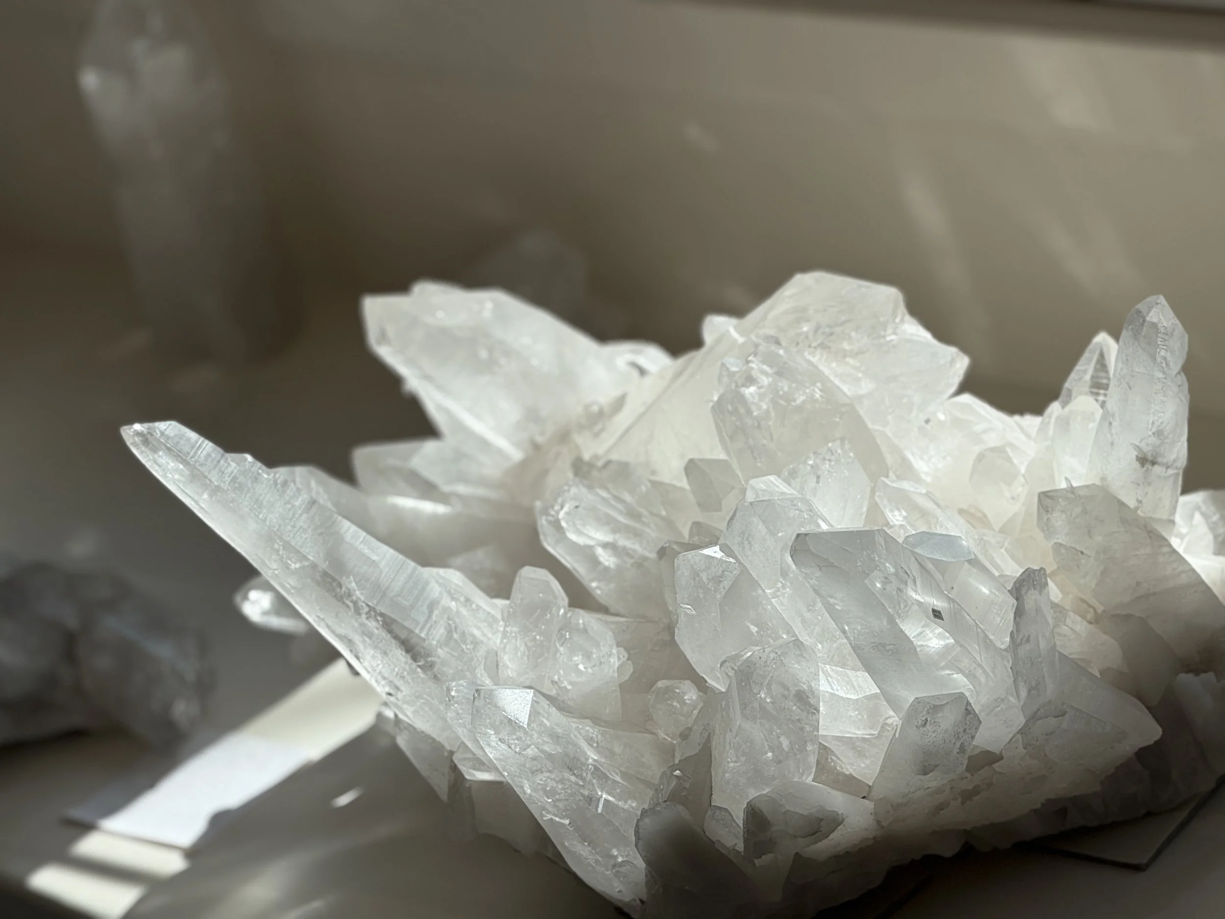 Close-up of shattered clear glass pieces inside a container or box.