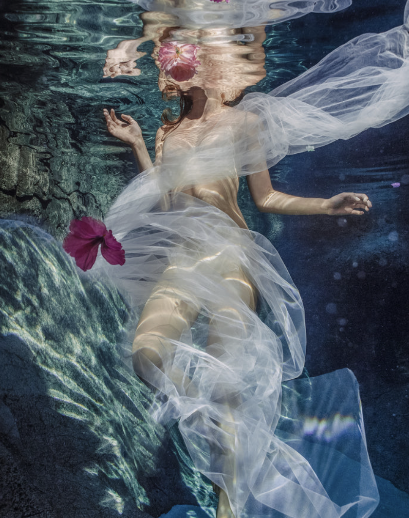 A woman is underwater, floating among rocks and water plants, wearing a flowing white dress and holding a pink flower.
