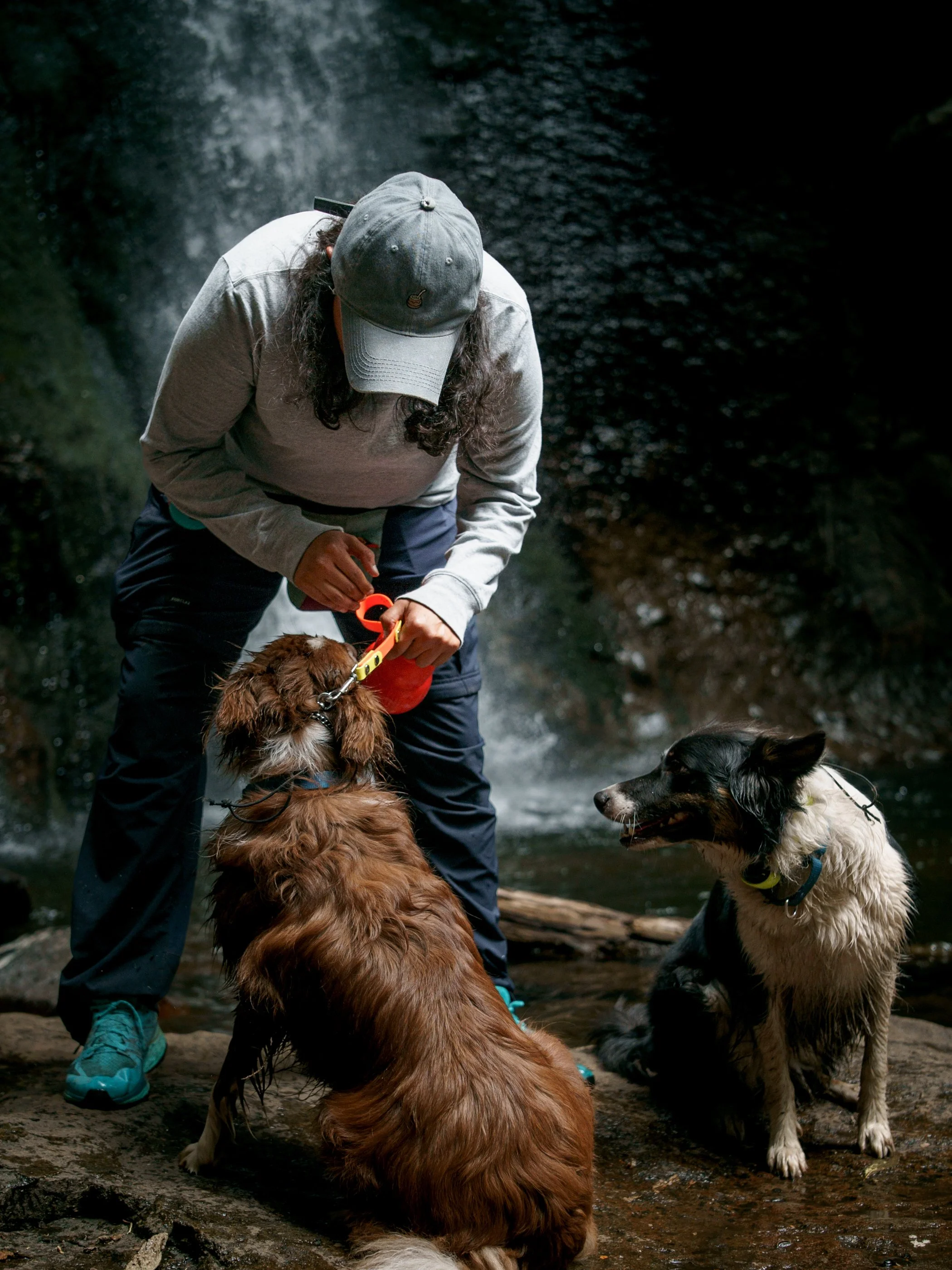 Entrenadora ofreciendo agua con bebedero portátil a dos perros junto a una cascada durante una caminata de hiking pet friendly en la naturaleza, para portalecer la obediencia del perro