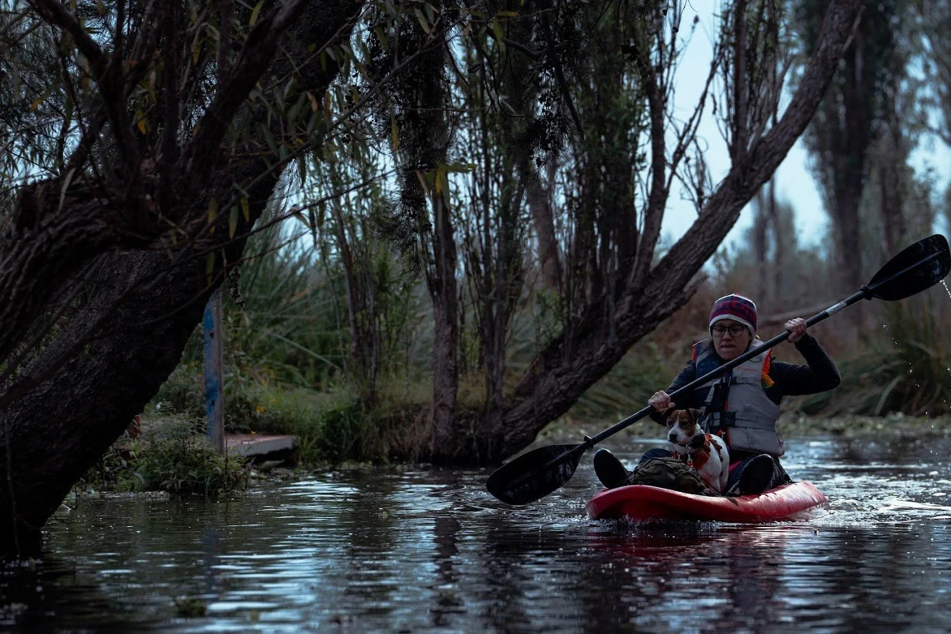 Persona navegando en kayak rojo por un canal rodeado de árboles junto a su perro con chaleco salvavidas, en una actividad turística pet friendly de aventura al aire libre.
