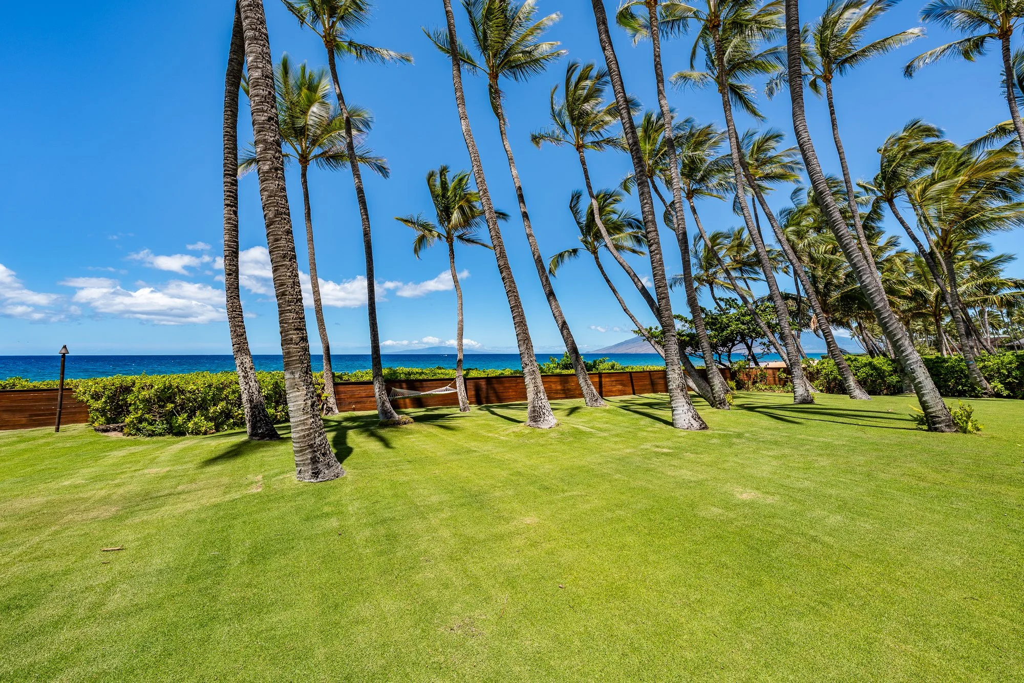 42 beach front coco palms.jpg