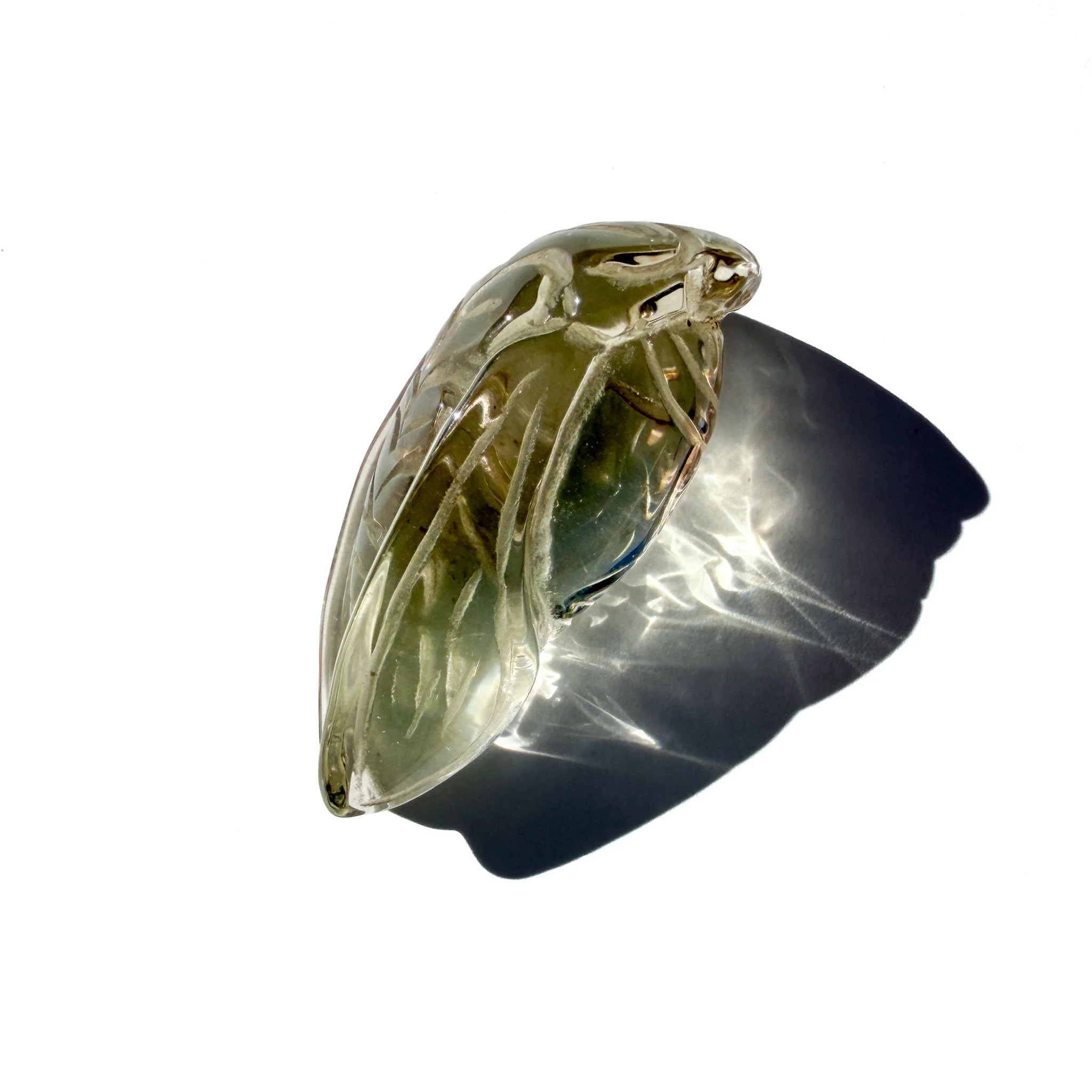 Metamorphosis Citrine Cicada Crystal -3.jpg