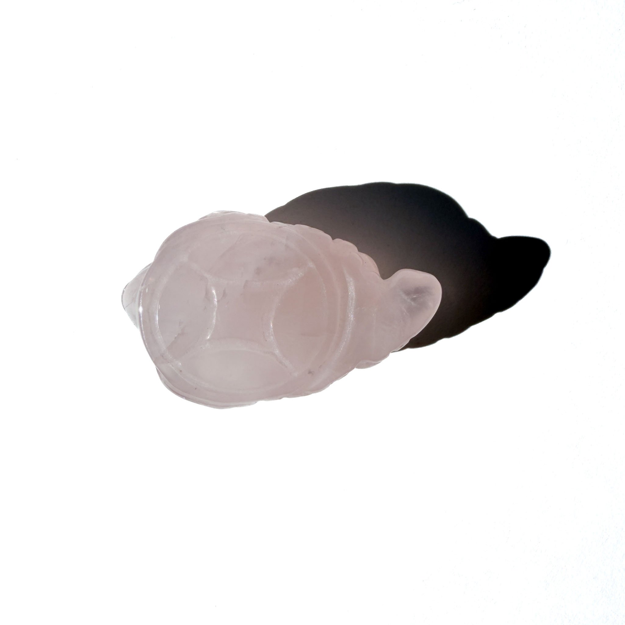 Rose Quartz Mini Crystal Money Toad- The Harmoniser-4.jpg