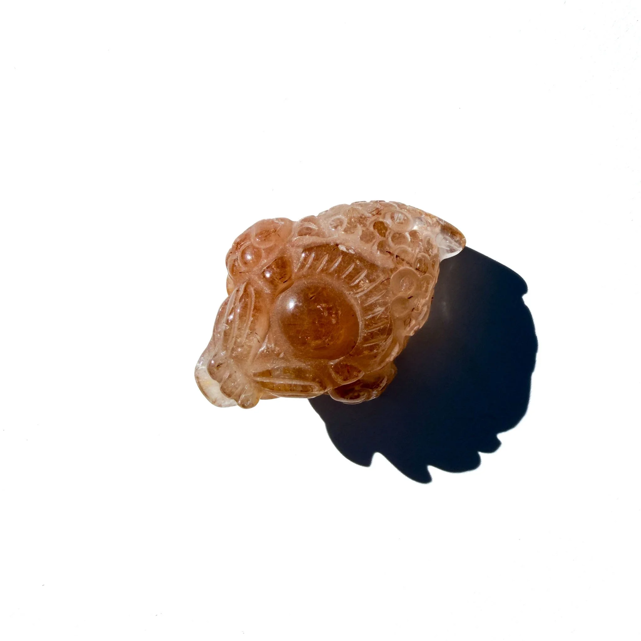 Golden Rutile Mini Crystal Money Toad- The Abundance Amplifier-4.jpg