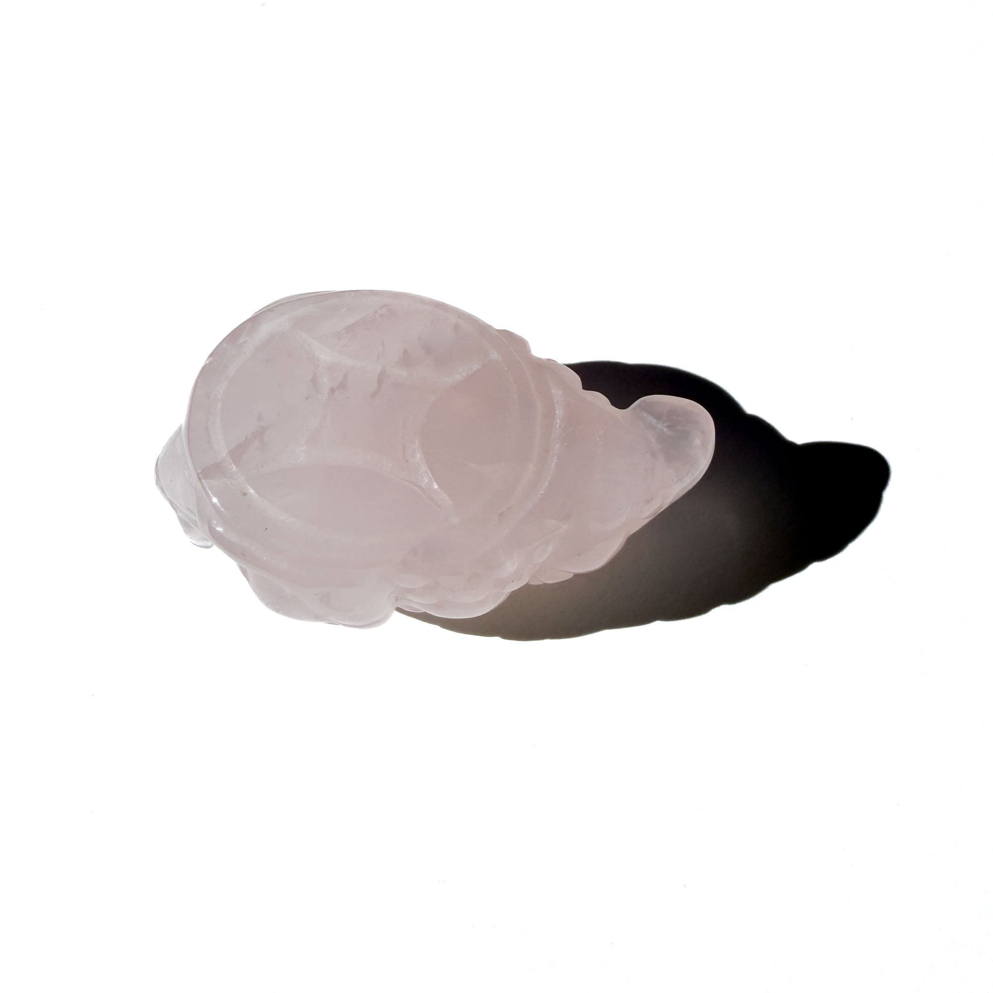 Rose Quartz Mini Crystal Money Toad- The Harmoniser-3.jpg