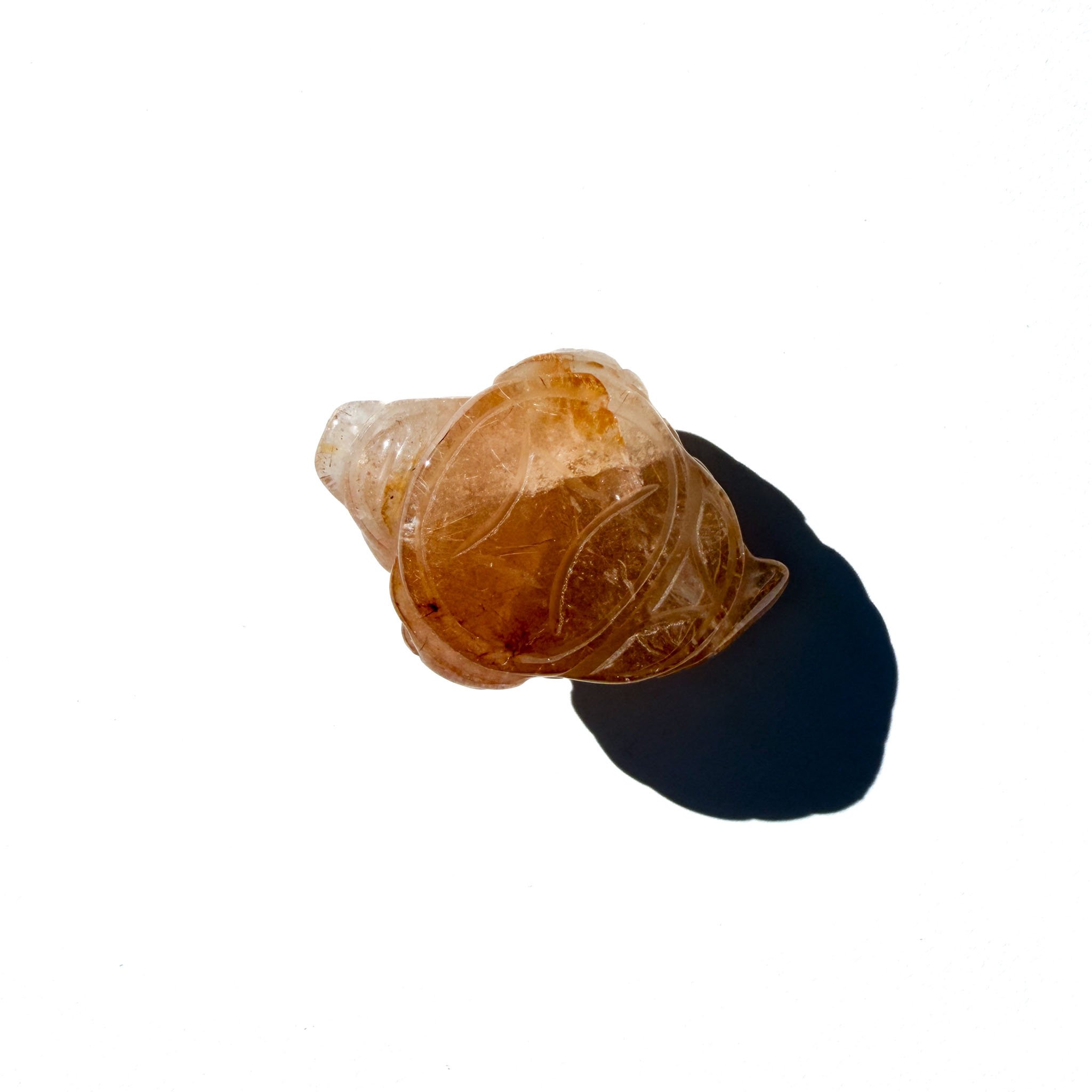 Golden Rutile Mini Crystal Money Toad- The Abundance Amplifier-3.jpg
