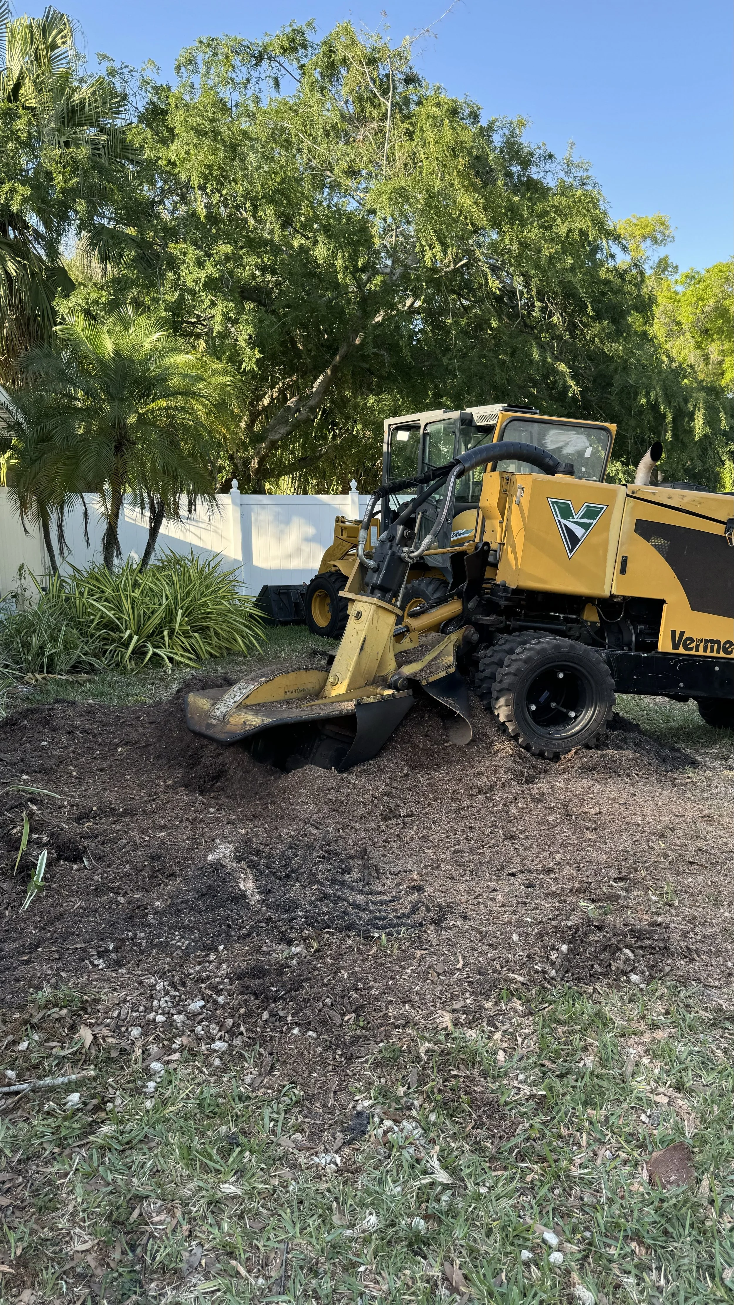 A yellow Vermeer compact excavator digging into soil in a backyard with a white fence, tall green trees, and plants, under a clear blue sky.