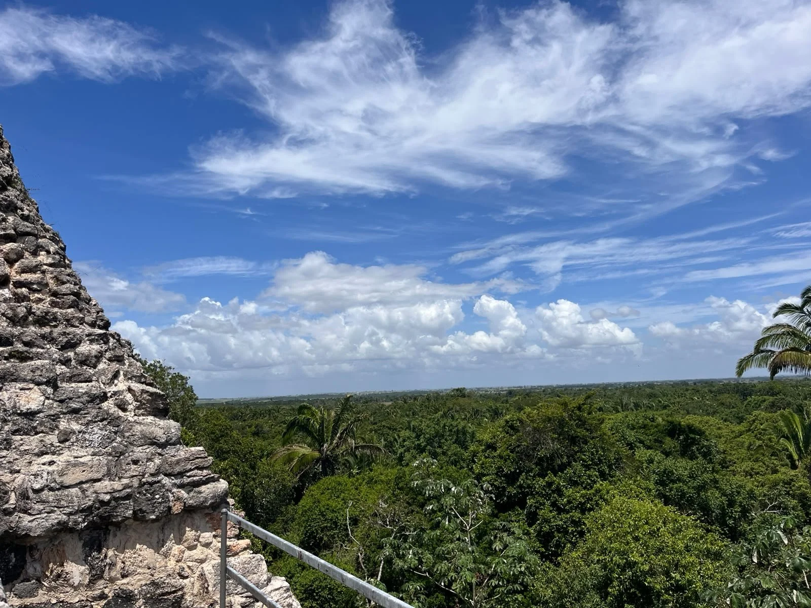 View from a high vantage point of a lush green jungle with palm trees and a cloudy blue sky, with a stone structure and railing in the foreground.