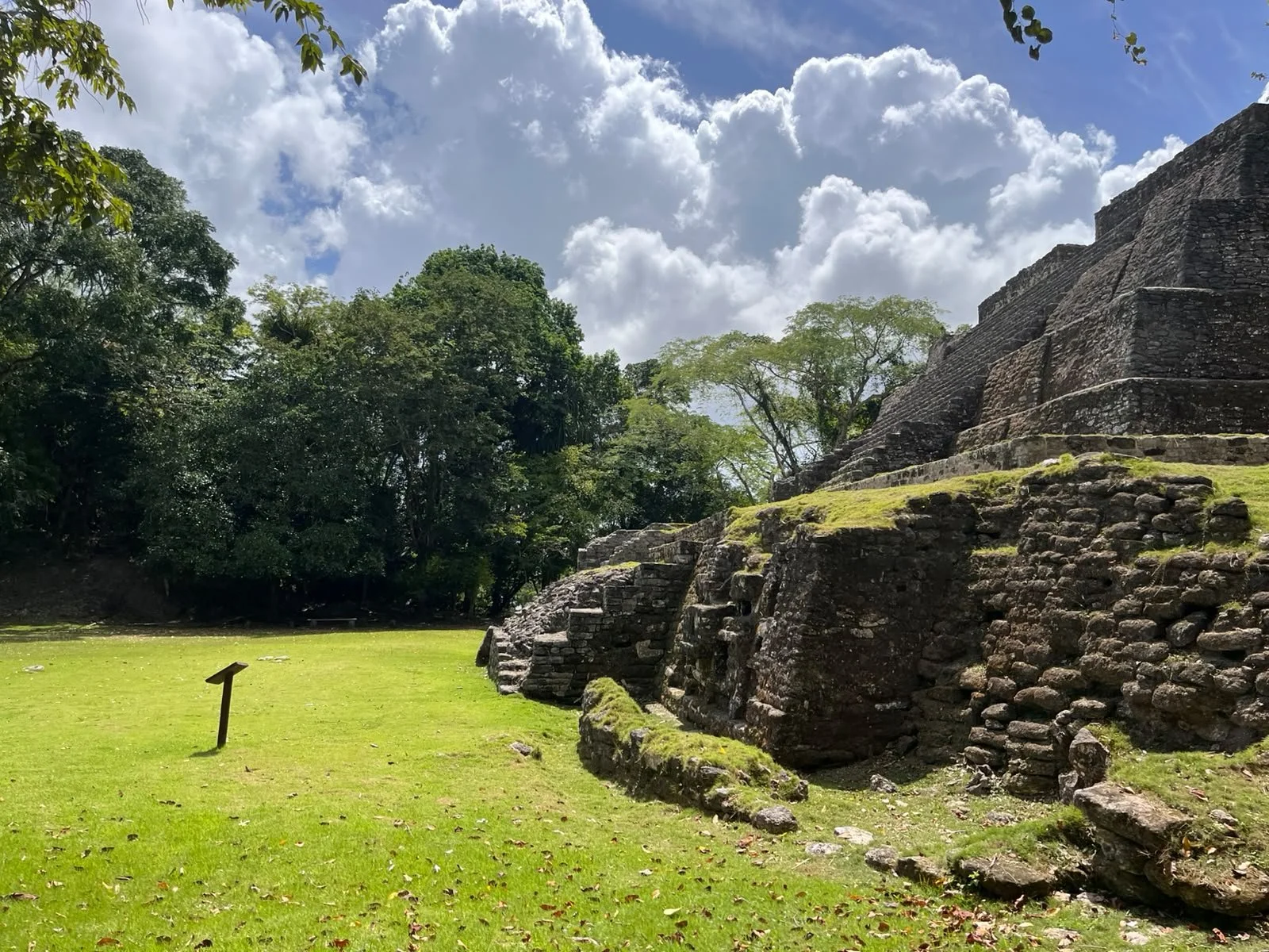 Ancient stone pyramid ruins in a lush jungle with green grass and trees, cloudy sky in the background.