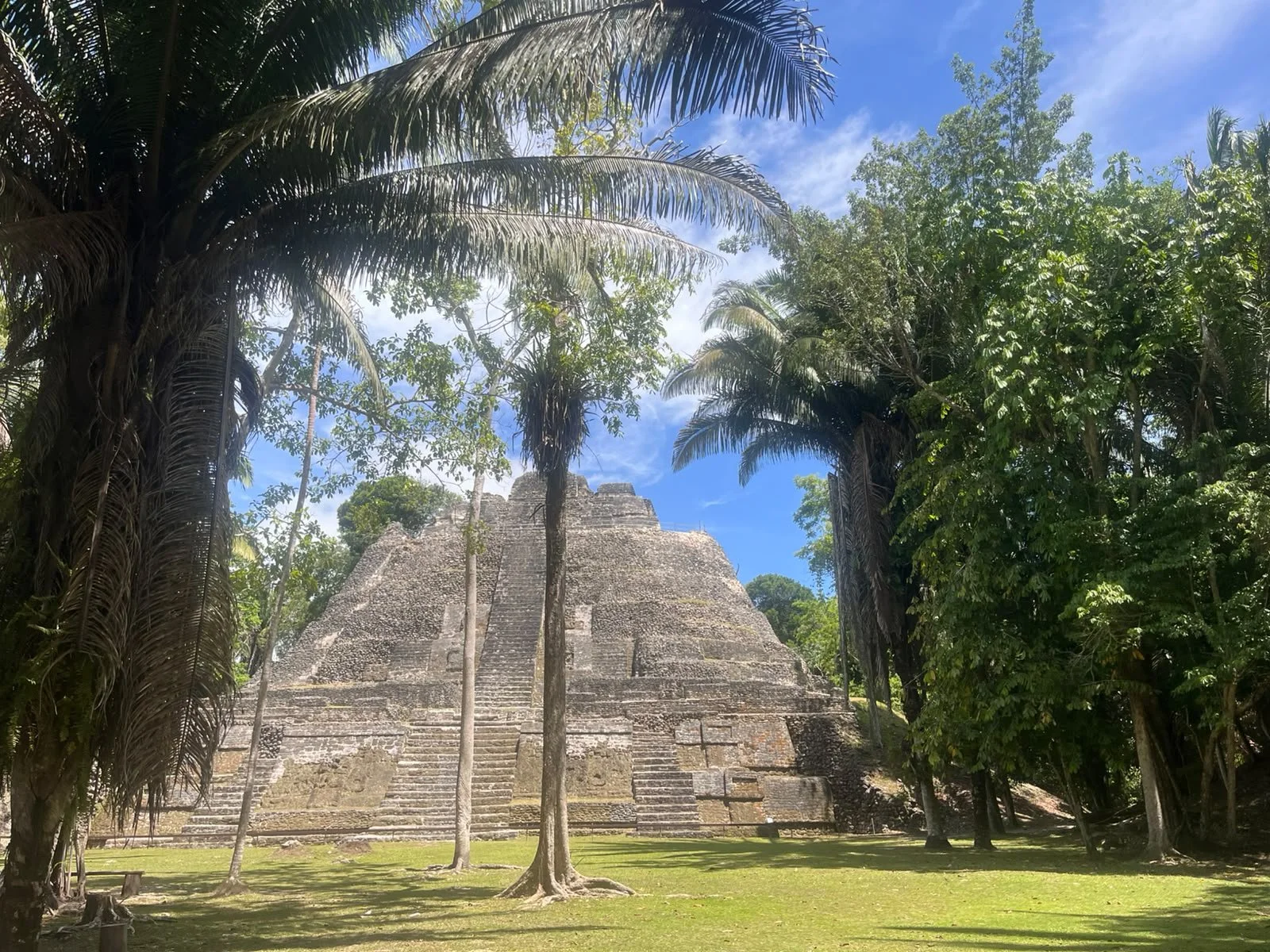 Ancient Mayan pyramid surrounded by lush green trees and palm trees under a bright blue sky.