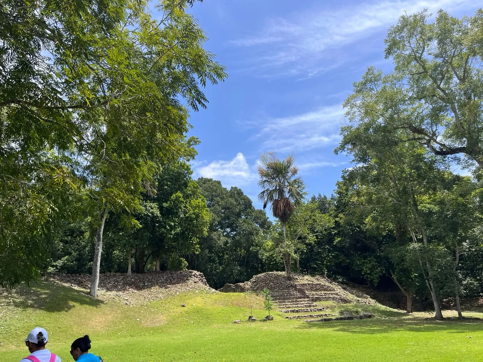 A lush green outdoor area with grass, trees, and stone steps leading up a small hill. A few people are sitting on the grass in the foreground, with a bright blue sky overhead.