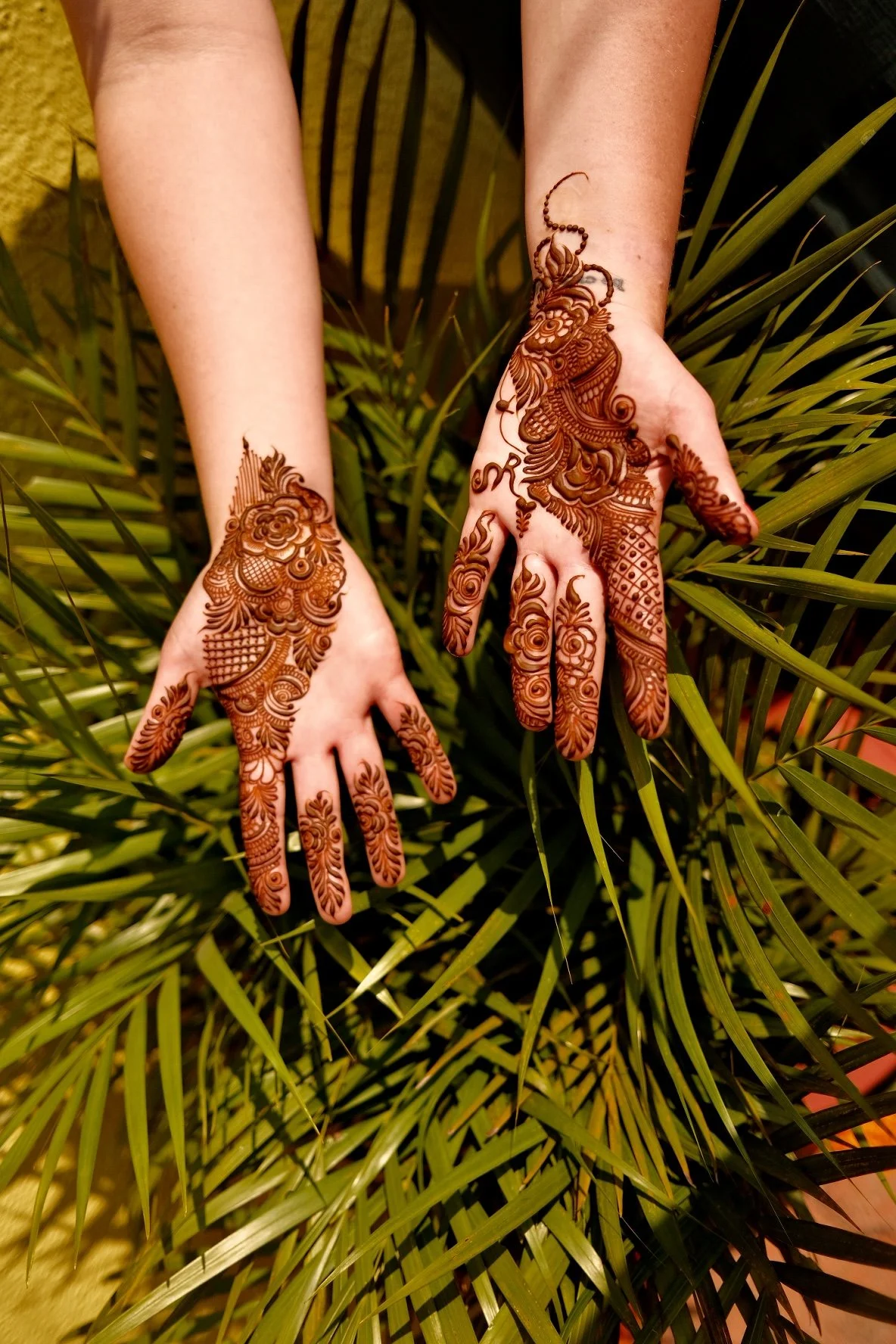 Hands with henna in front of palm leaves