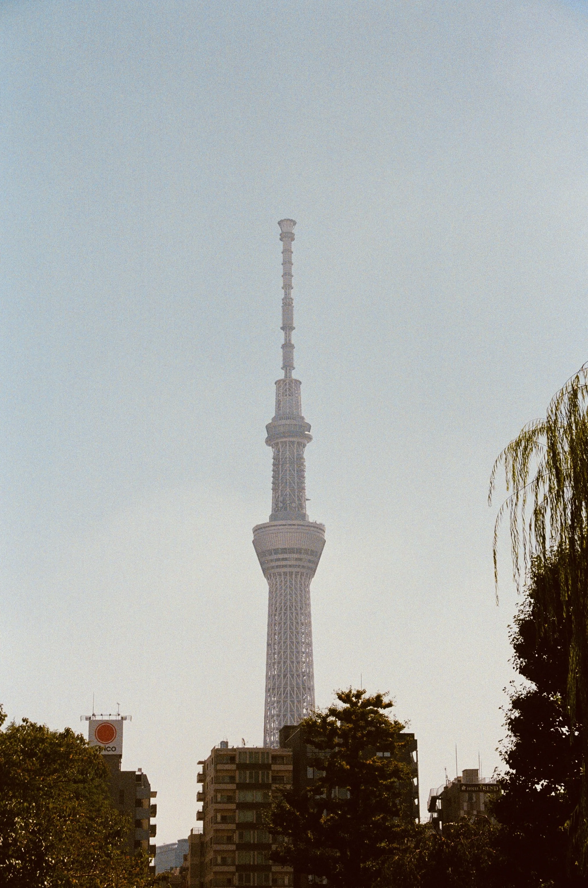 BB9C4FD3-69A6-41FC-964D-9991AB96E4B3_1_201_a.jpeg
